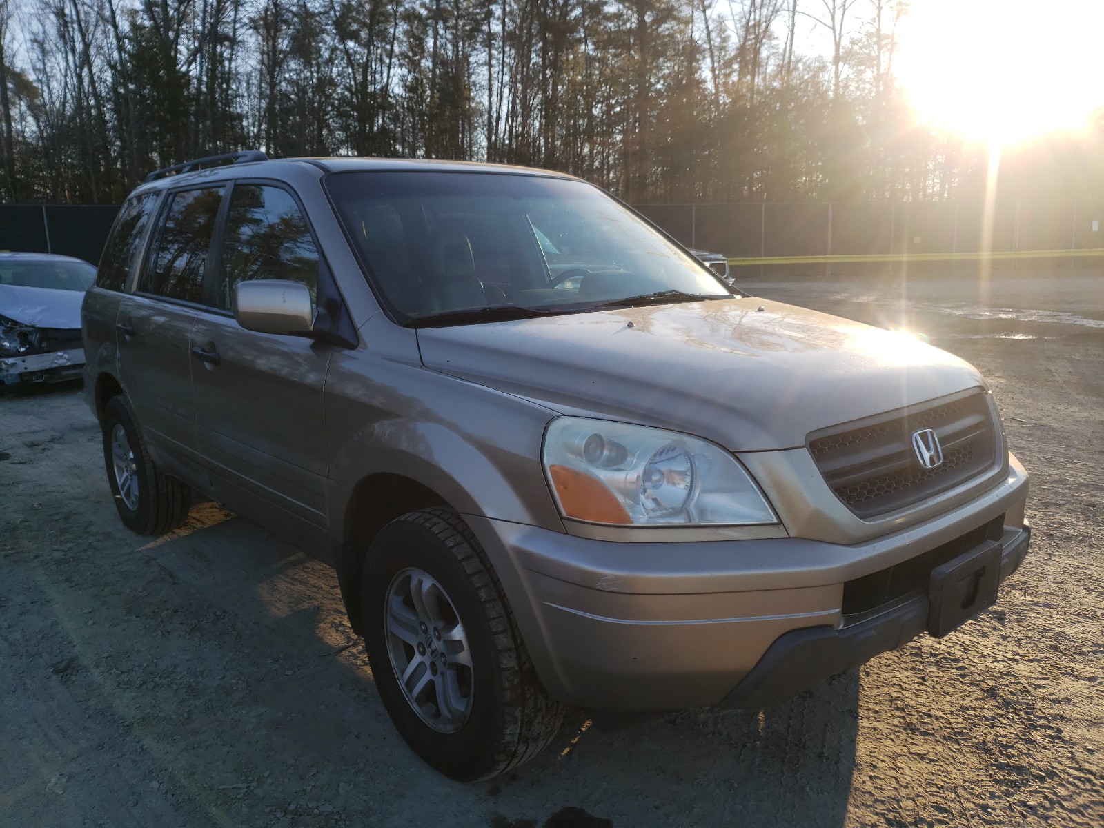 HONDA PILOT EXL 2005 2hkyf18585h514695