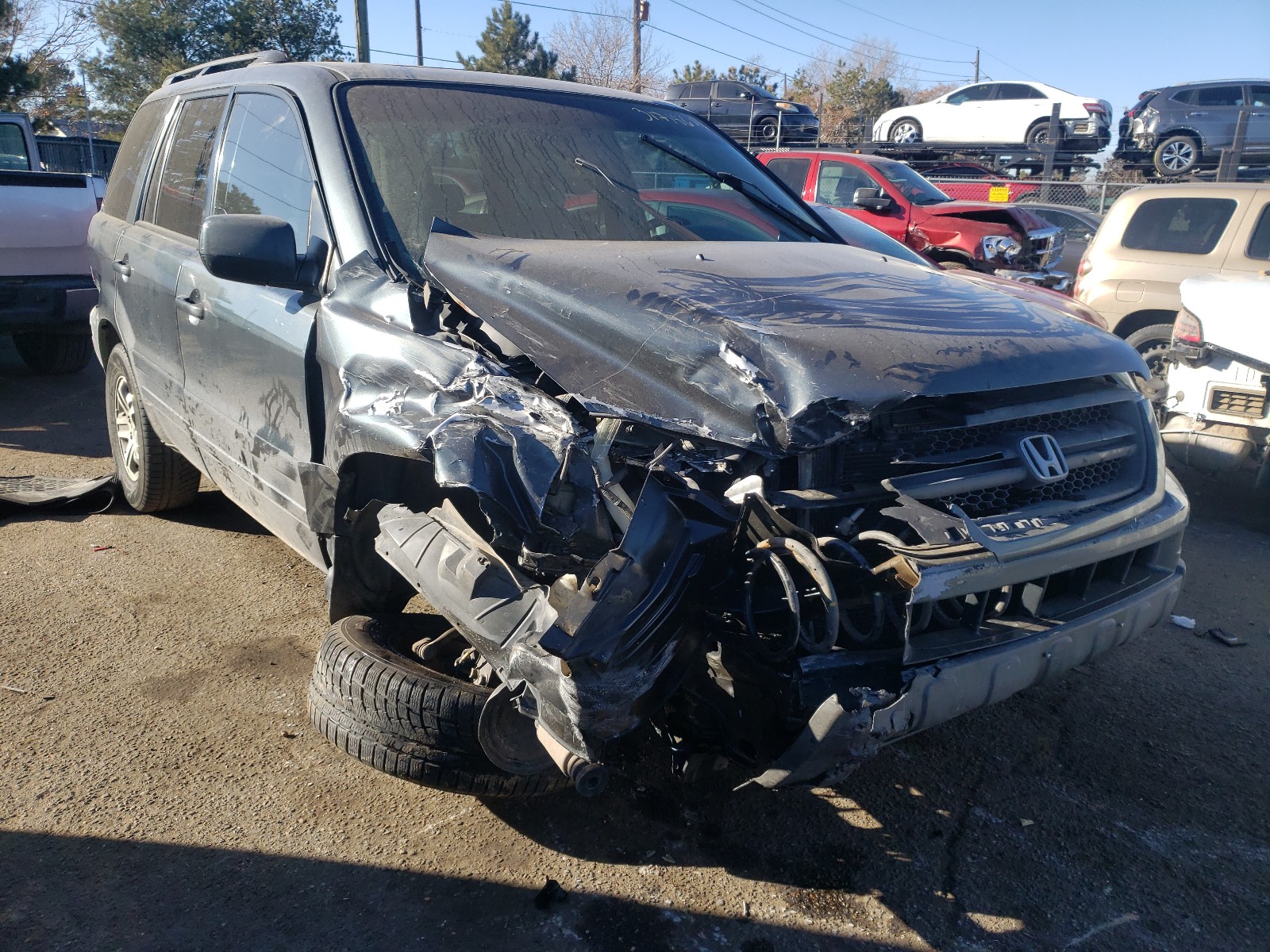 HONDA PILOT EXL 2005 2hkyf18585h538365