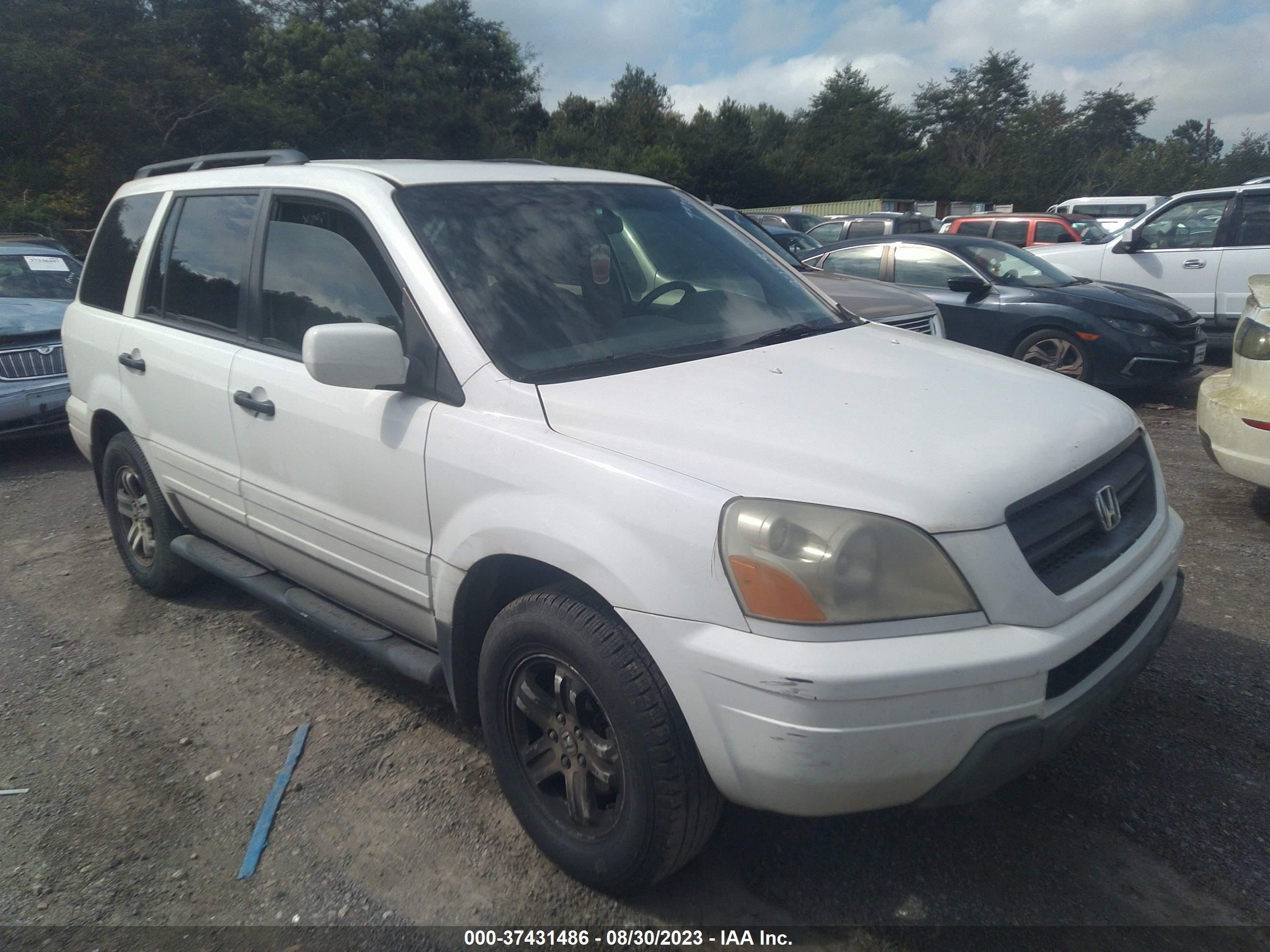 HONDA PILOT 2003 2hkyf18593h595123