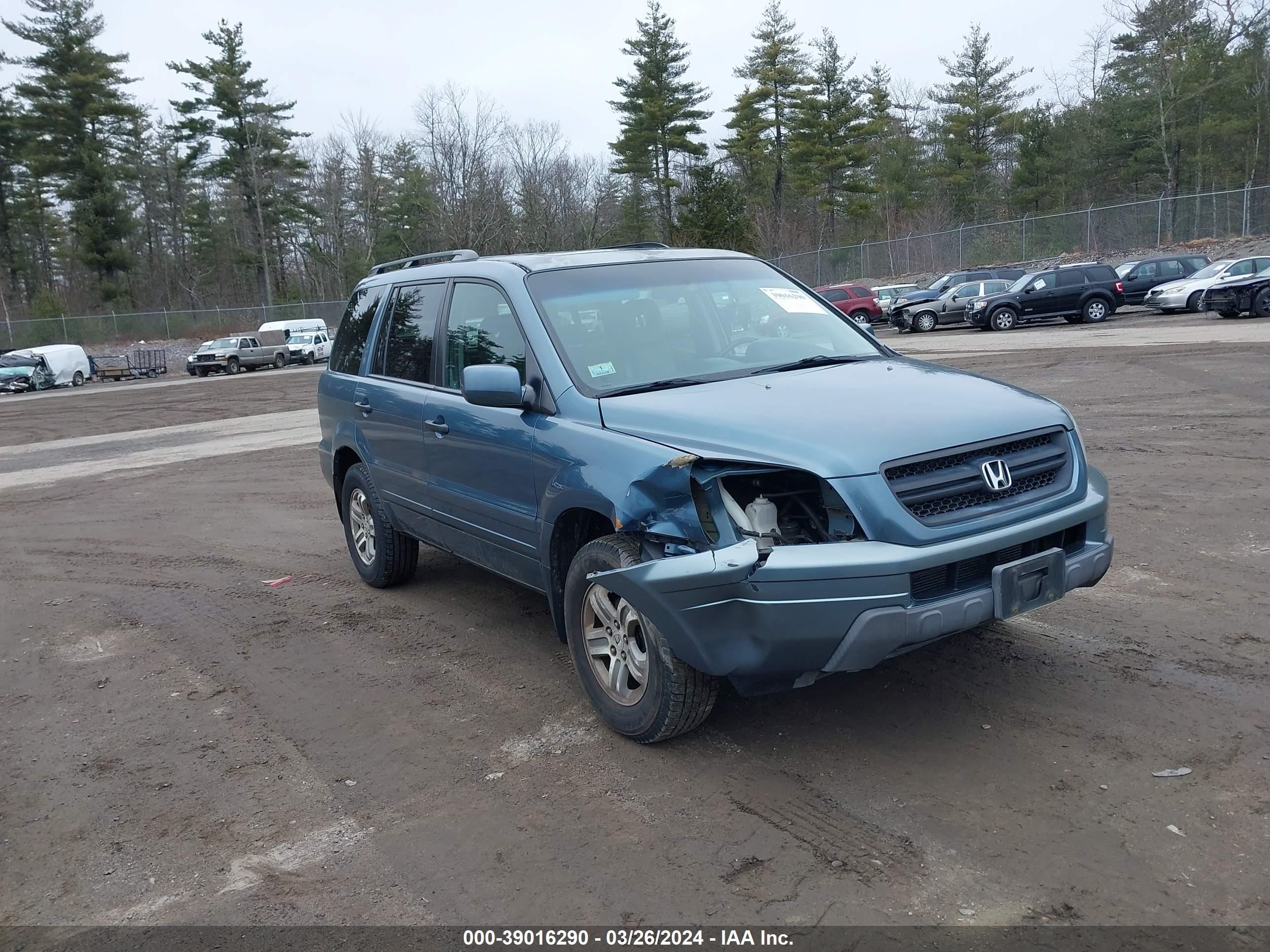 HONDA PILOT 2005 2hkyf18605h506499