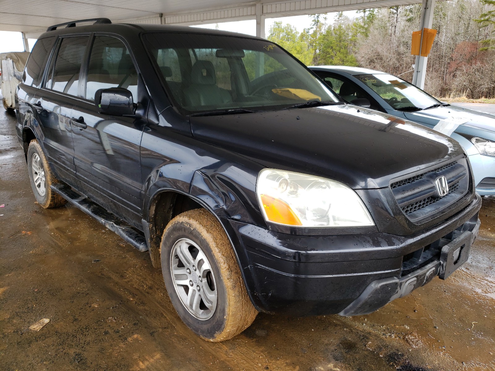 HONDA PILOT EXL 2004 2hkyf18614h502640