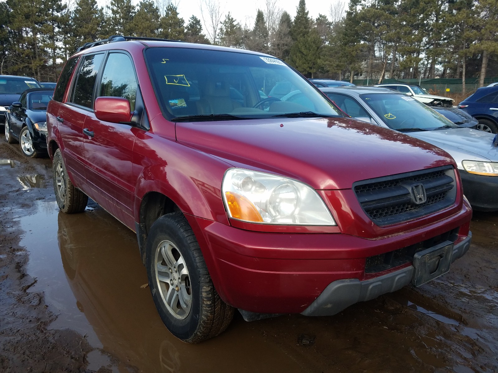 HONDA PILOT EXL 2004 2hkyf18614h560022