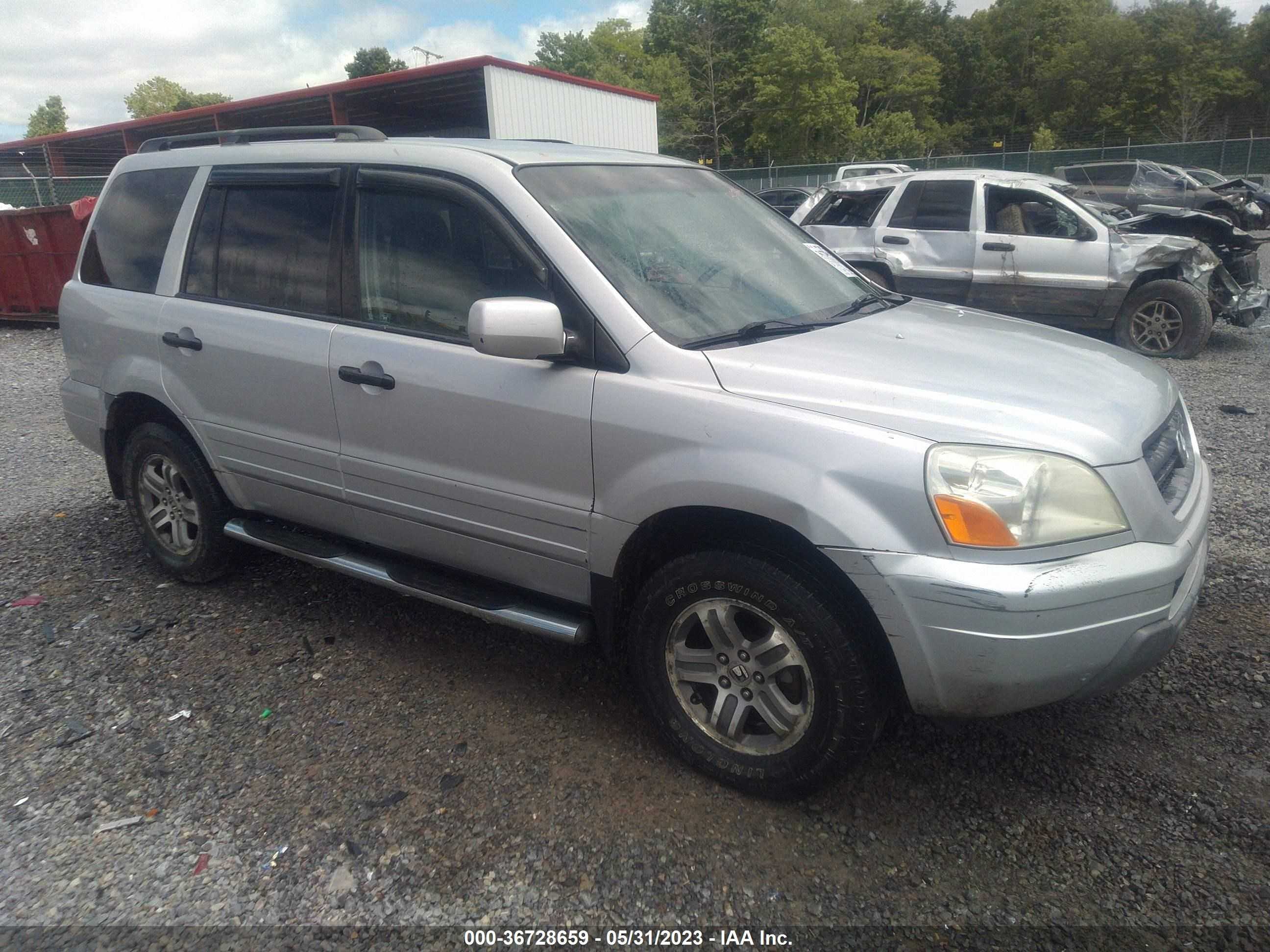 HONDA PILOT 2004 2hkyf18664h577219