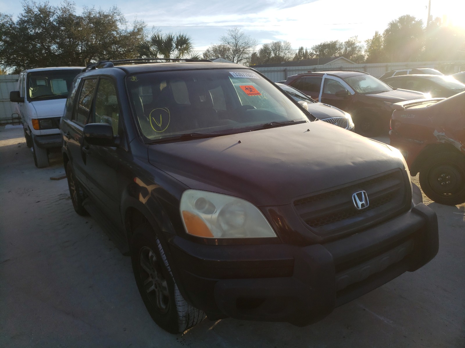 HONDA PILOT EXL 2005 2hkyf186x5h511645