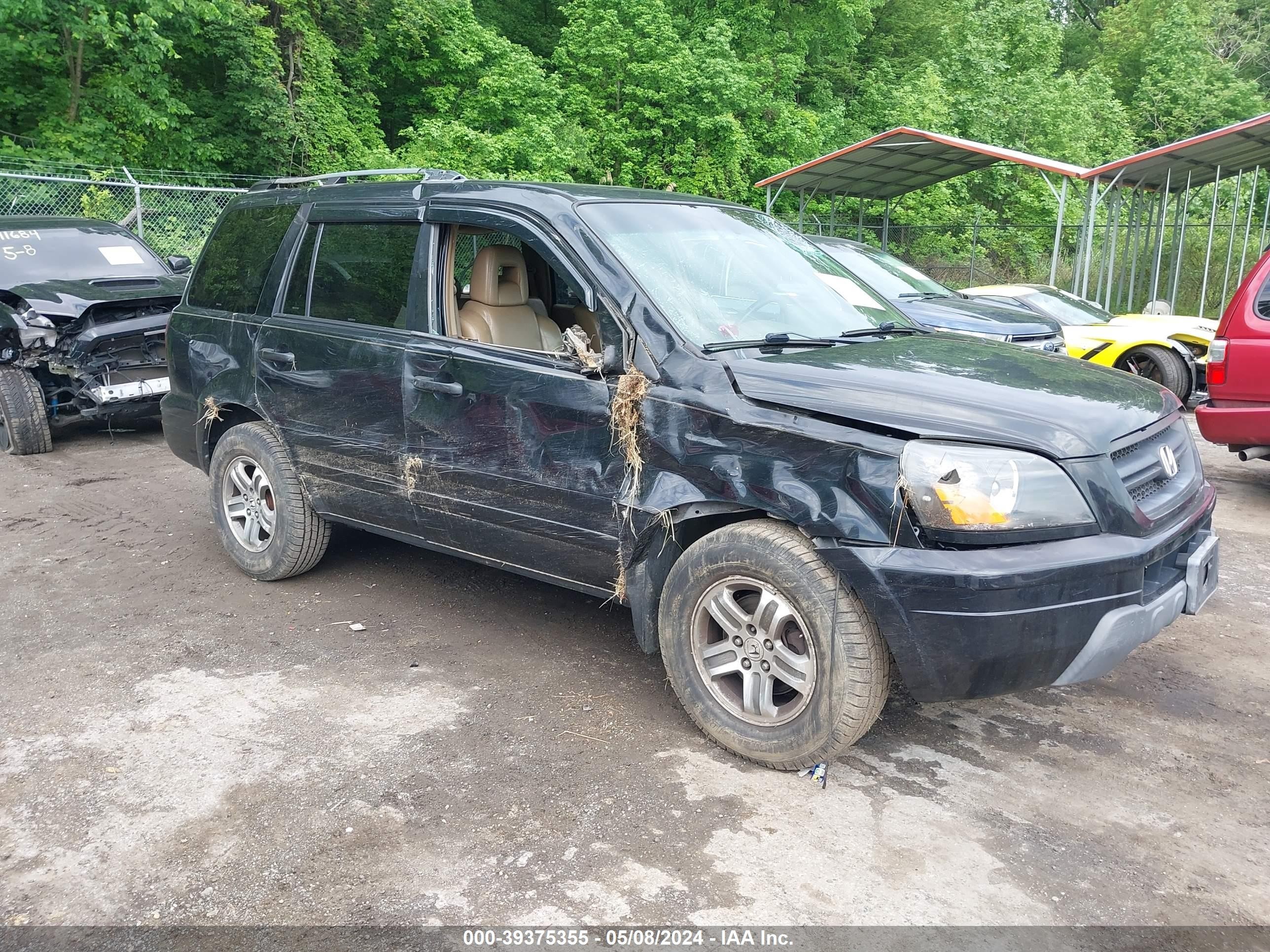 HONDA PILOT 2005 2hkyf18745h522939