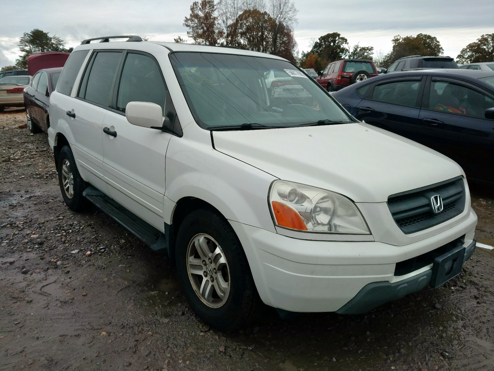 HONDA PILOT EXL 2005 2hkyf18745h546903