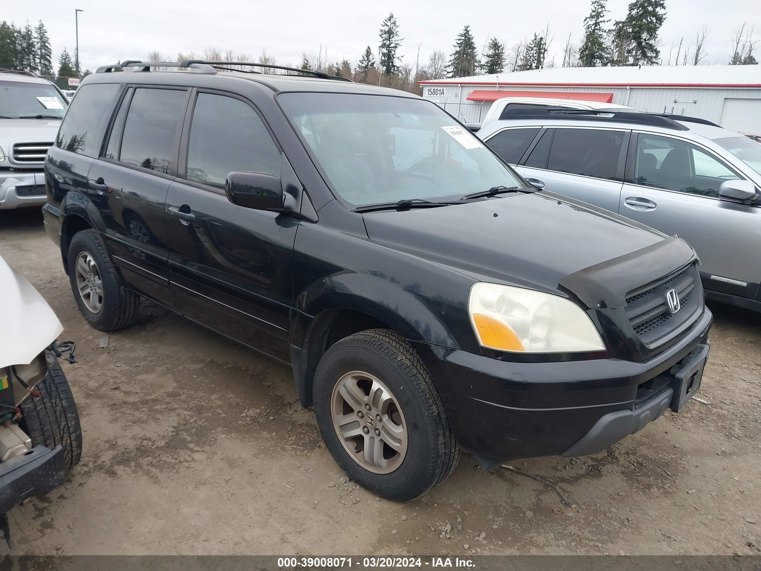 HONDA PILOT 2005 2hkyf18745h551678