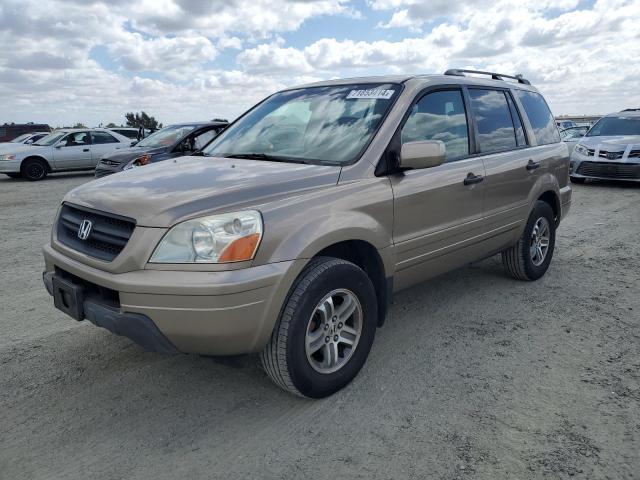 HONDA PILOT EXL 2005 2hkyf18775h543185