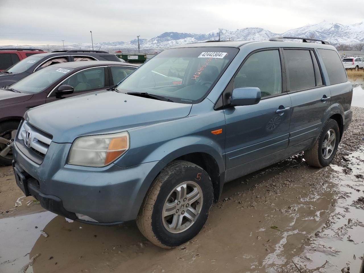 HONDA PILOT 2006 2hkyf18776h542104