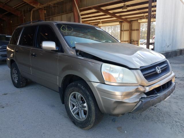 HONDA PILOT EXL 2005 2hkyf18785h556673