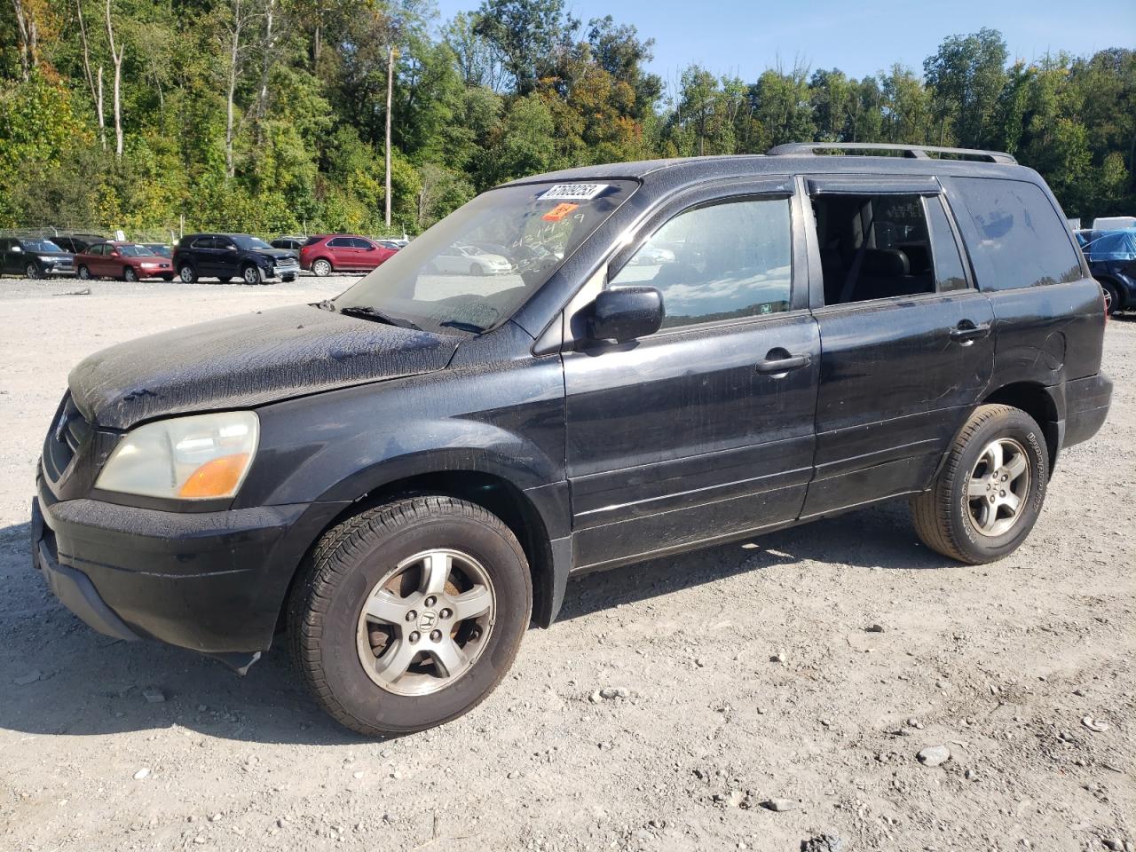 HONDA PILOT 2004 2hkyf18794h550475