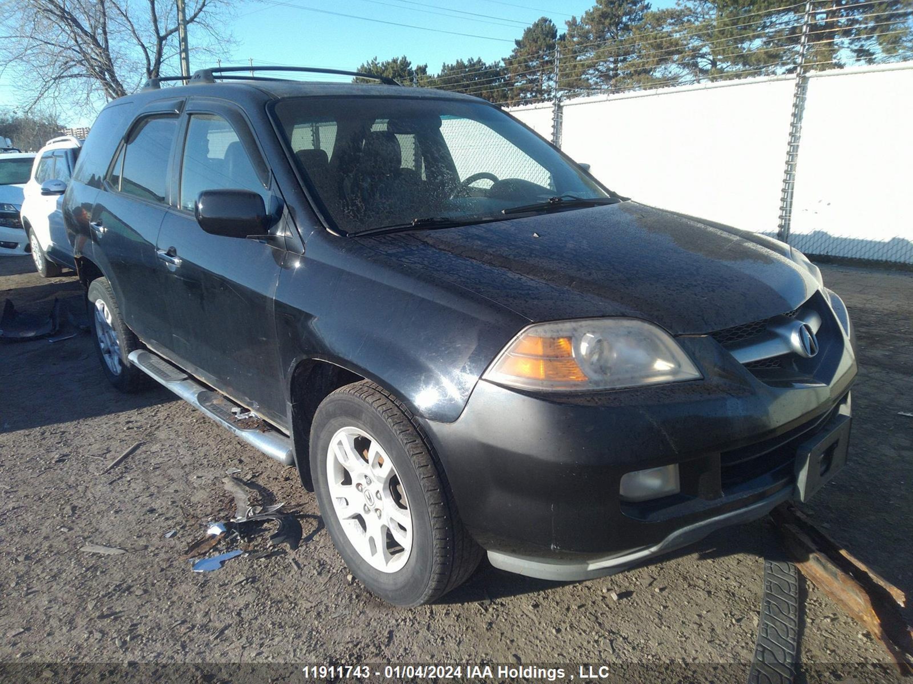 ACURA MDX 2004 2hnyd18204h544352