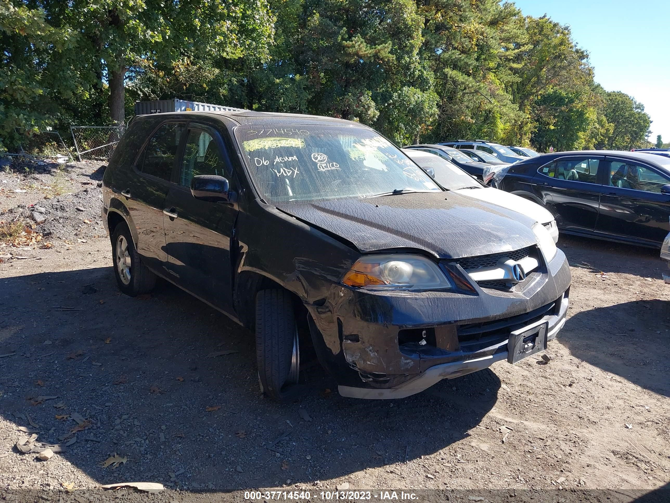 ACURA MDX 2006 2hnyd18216h510746