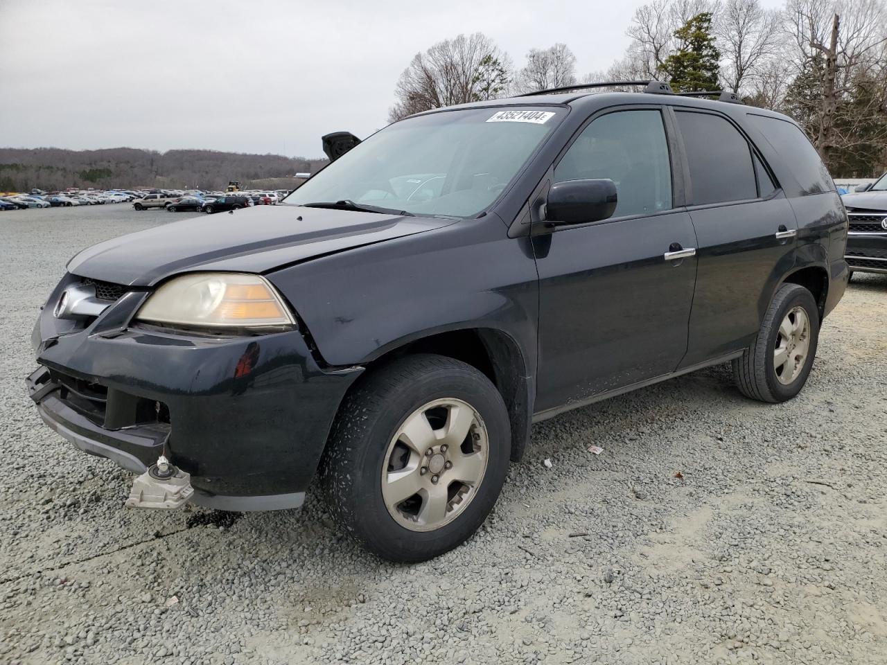 ACURA MDX 2004 2hnyd18244h560070