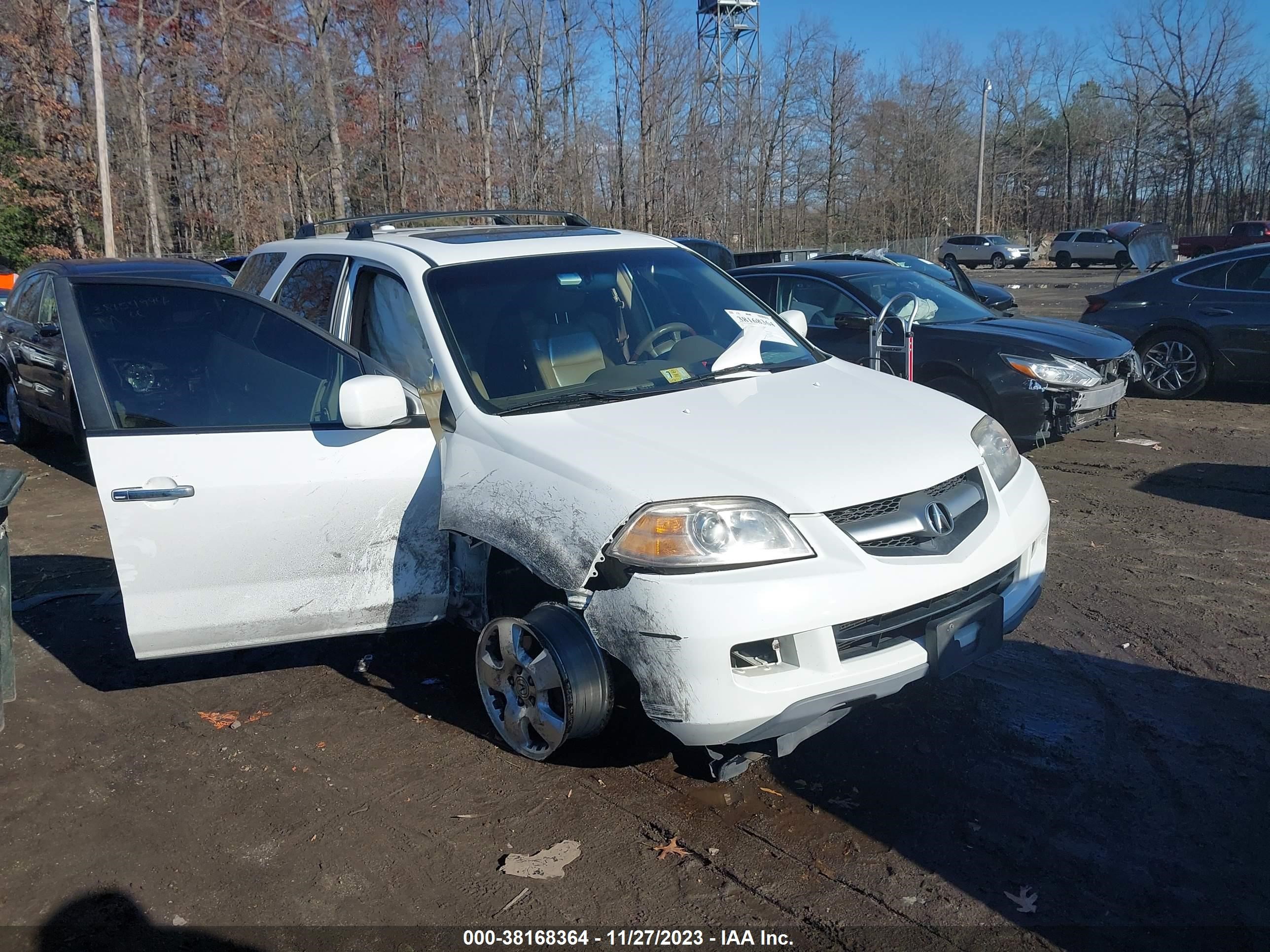 ACURA MDX 2006 2hnyd18266h531902