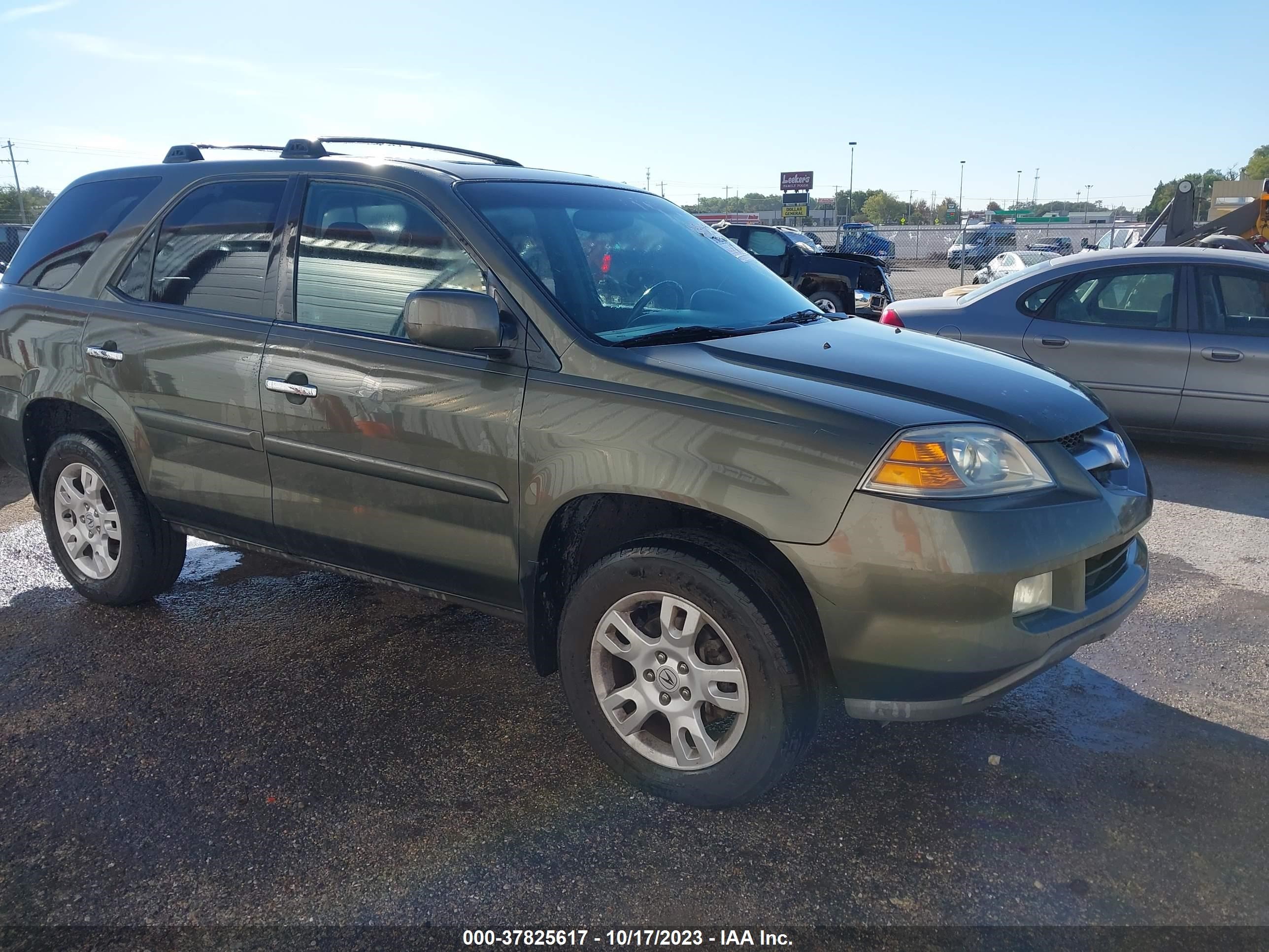 ACURA MDX 2006 2hnyd18276h510492