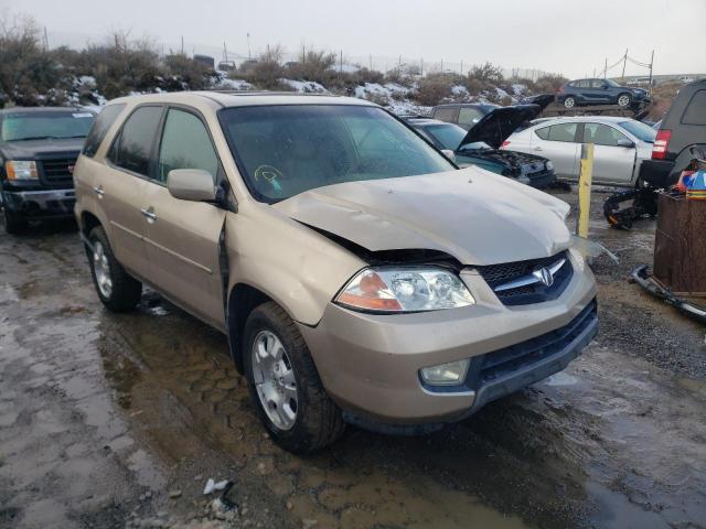 ACURA MDX 2002 2hnyd18282h501522