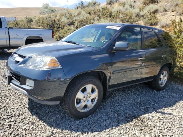 ACURA MDX 2006 2hnyd182x6h509126