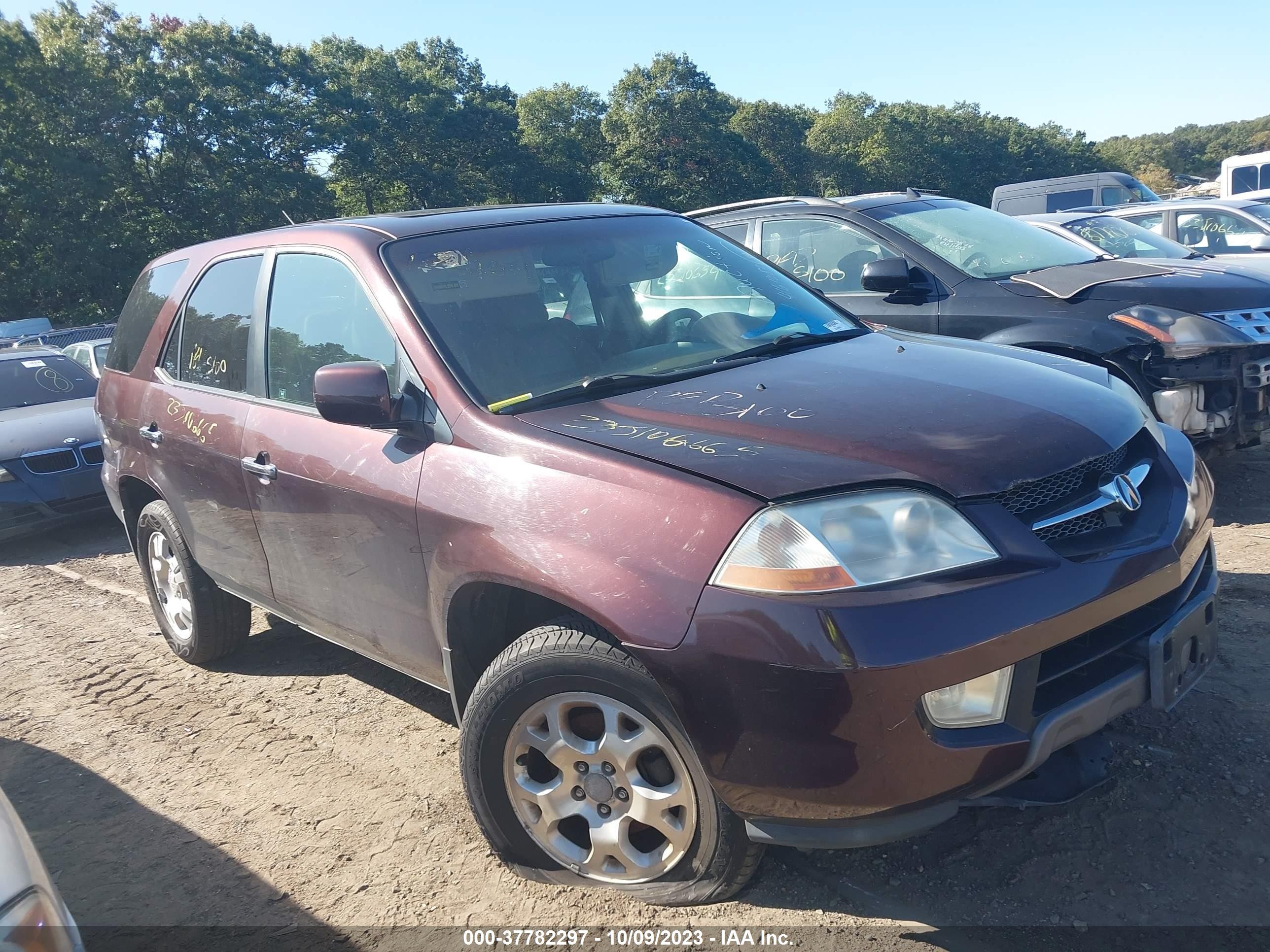 ACURA MDX 2002 2hnyd18462h510429