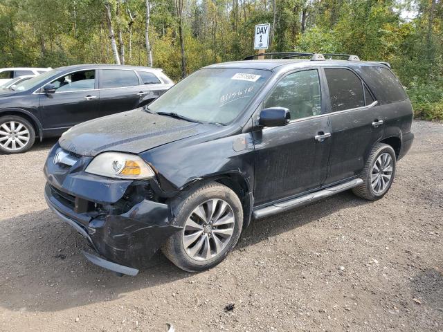 ACURA MDX TOURIN 2005 2hnyd18605h504048