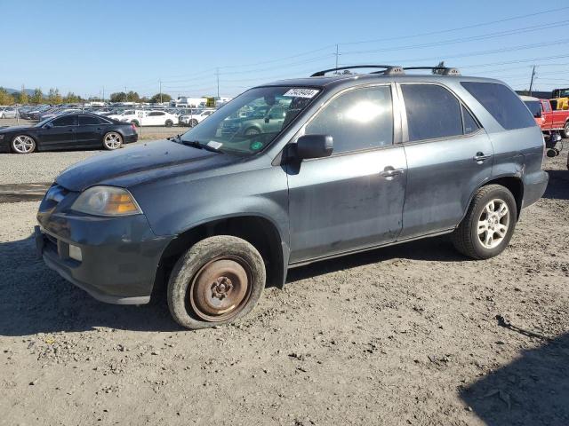 ACURA MDX 2006 2hnyd18606h500406