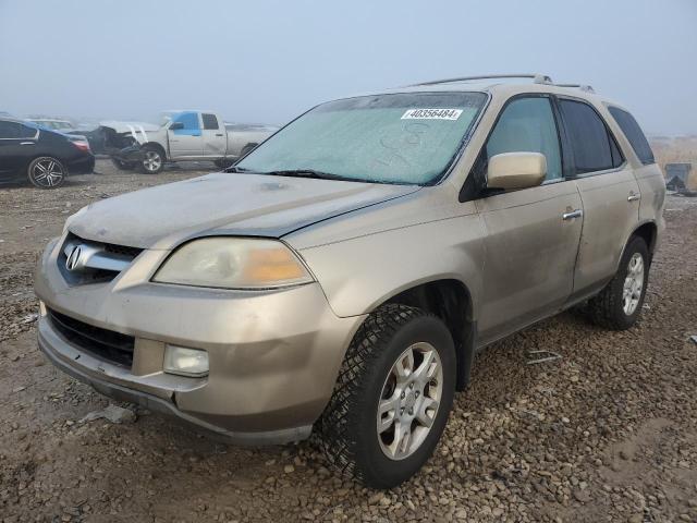 ACURA MDX 2006 2hnyd18626h501699