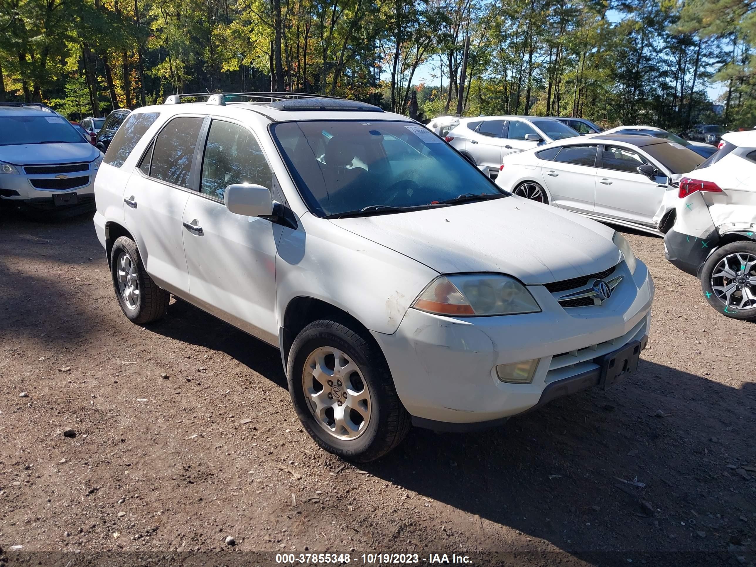 ACURA MDX 2002 2hnyd18652h546517