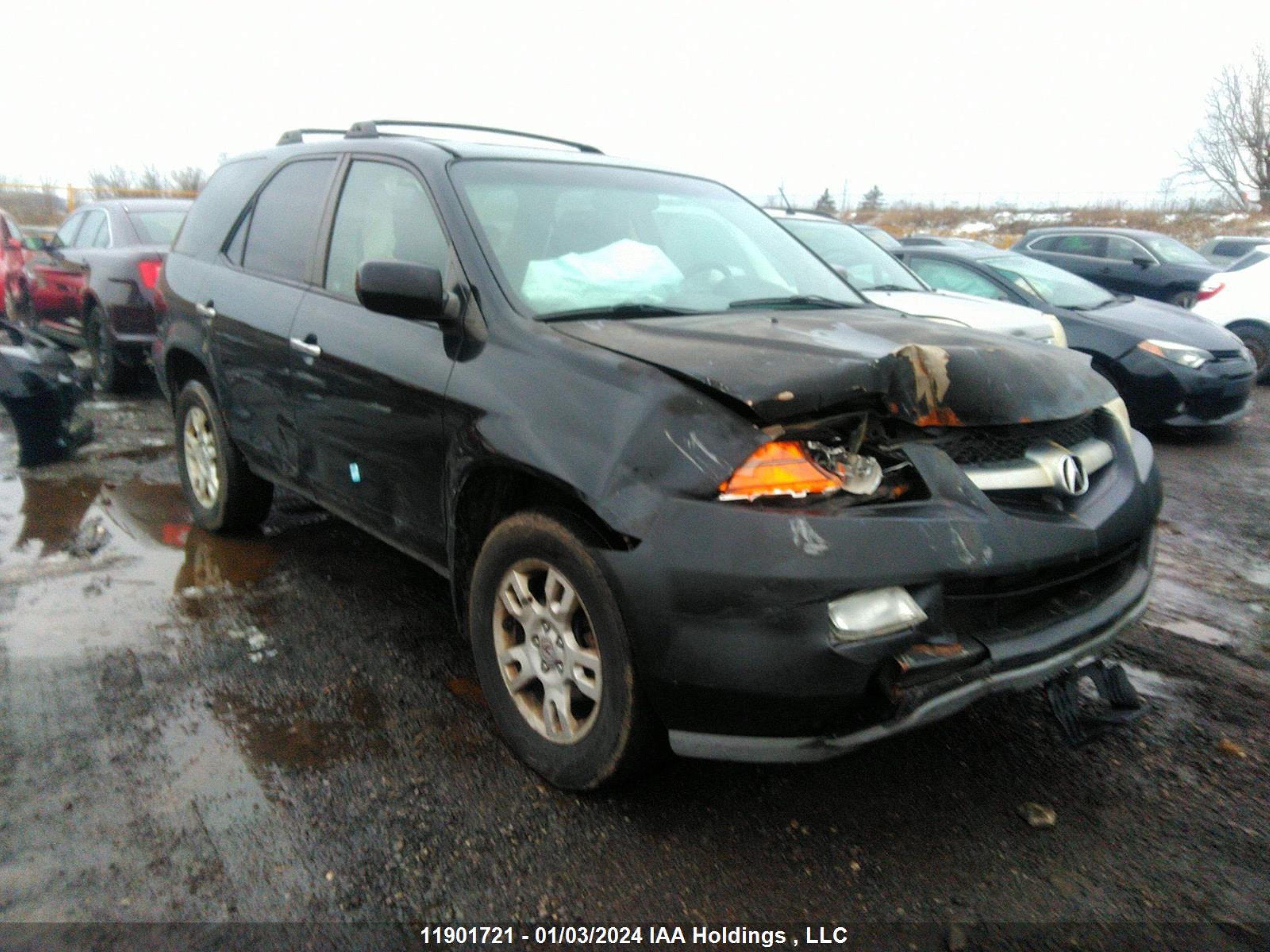 ACURA MDX 2004 2hnyd18654h003221