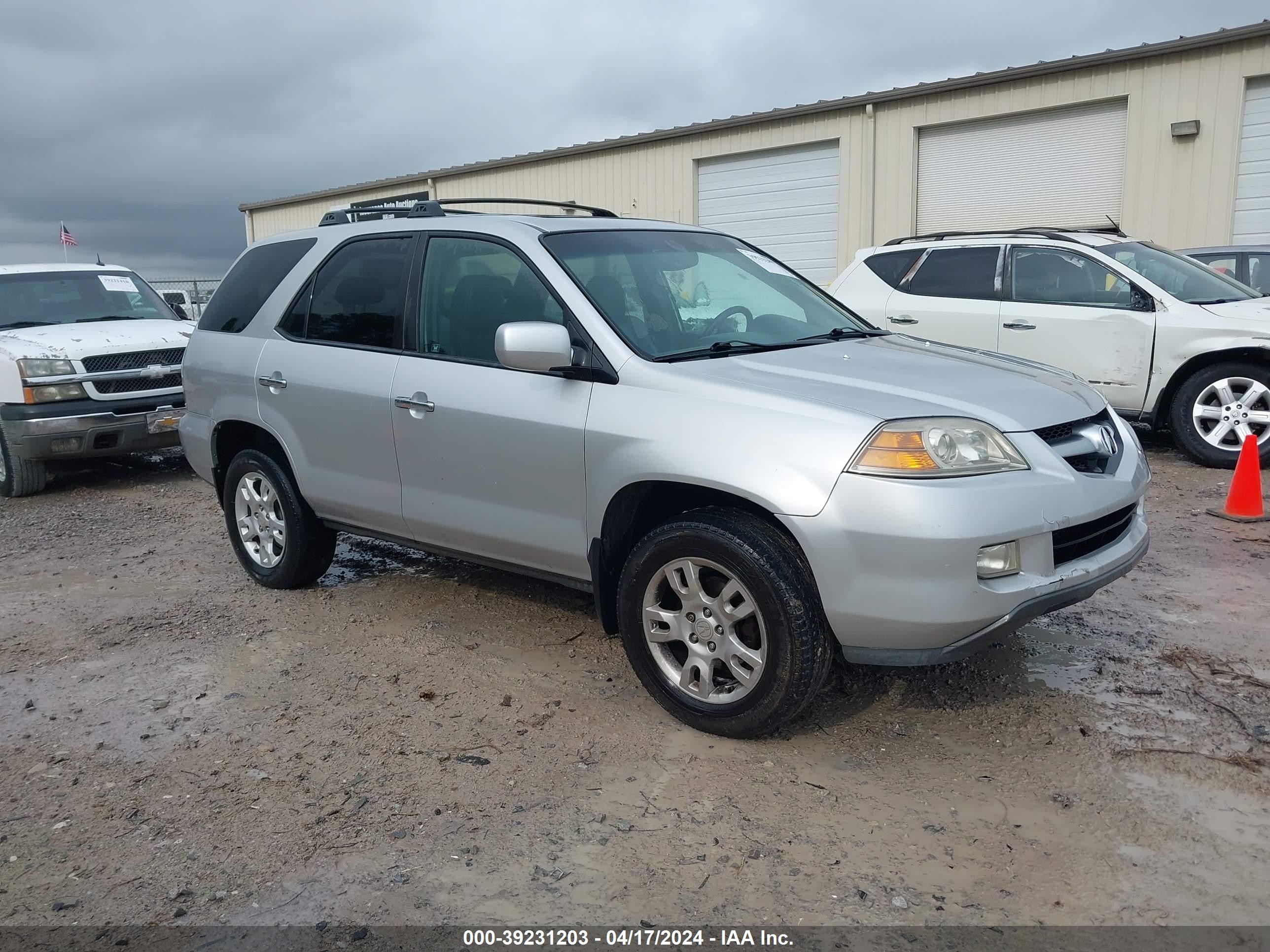 ACURA MDX 2006 2hnyd18666h535189