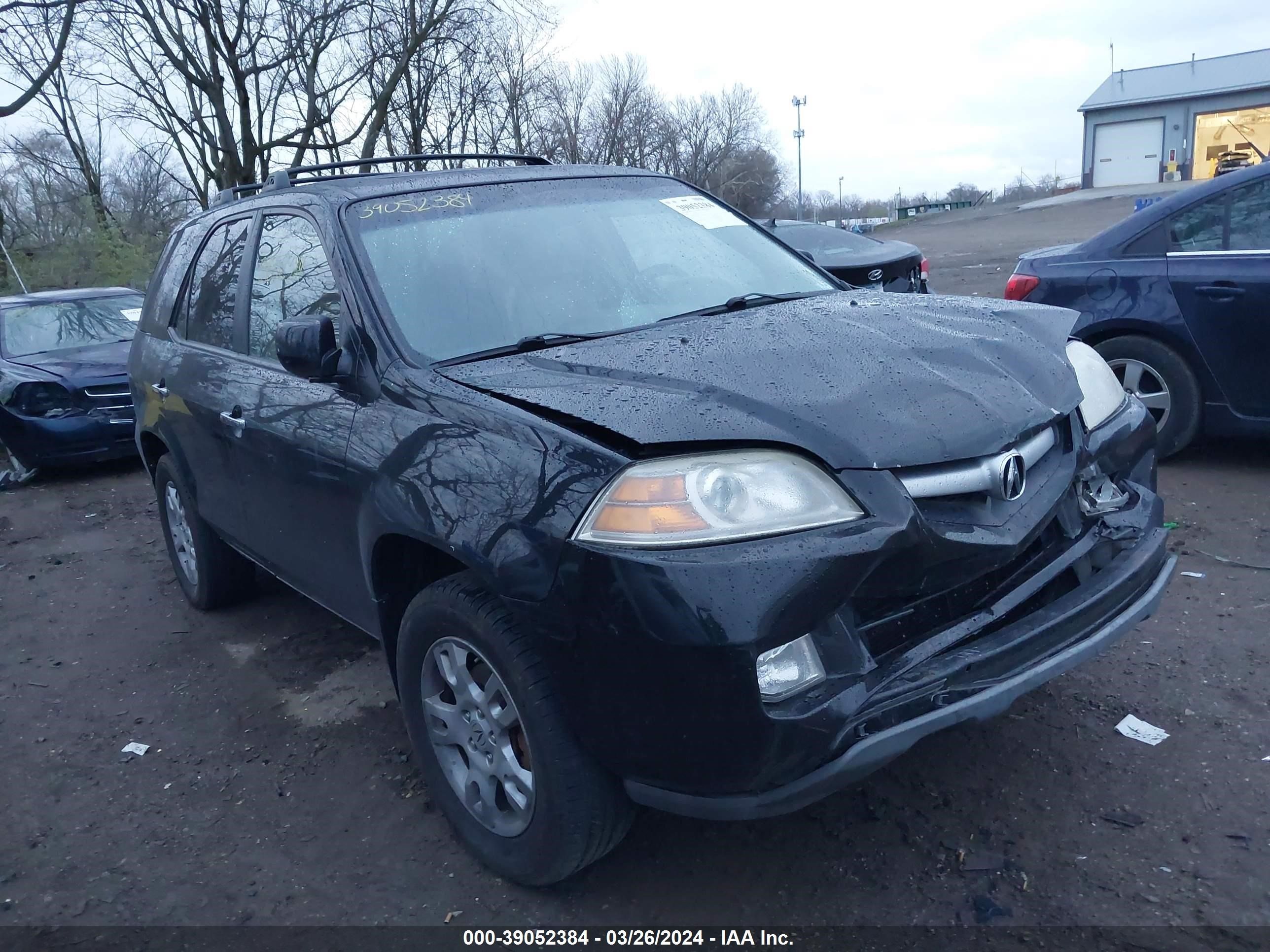 ACURA MDX 2006 2hnyd18666h545477