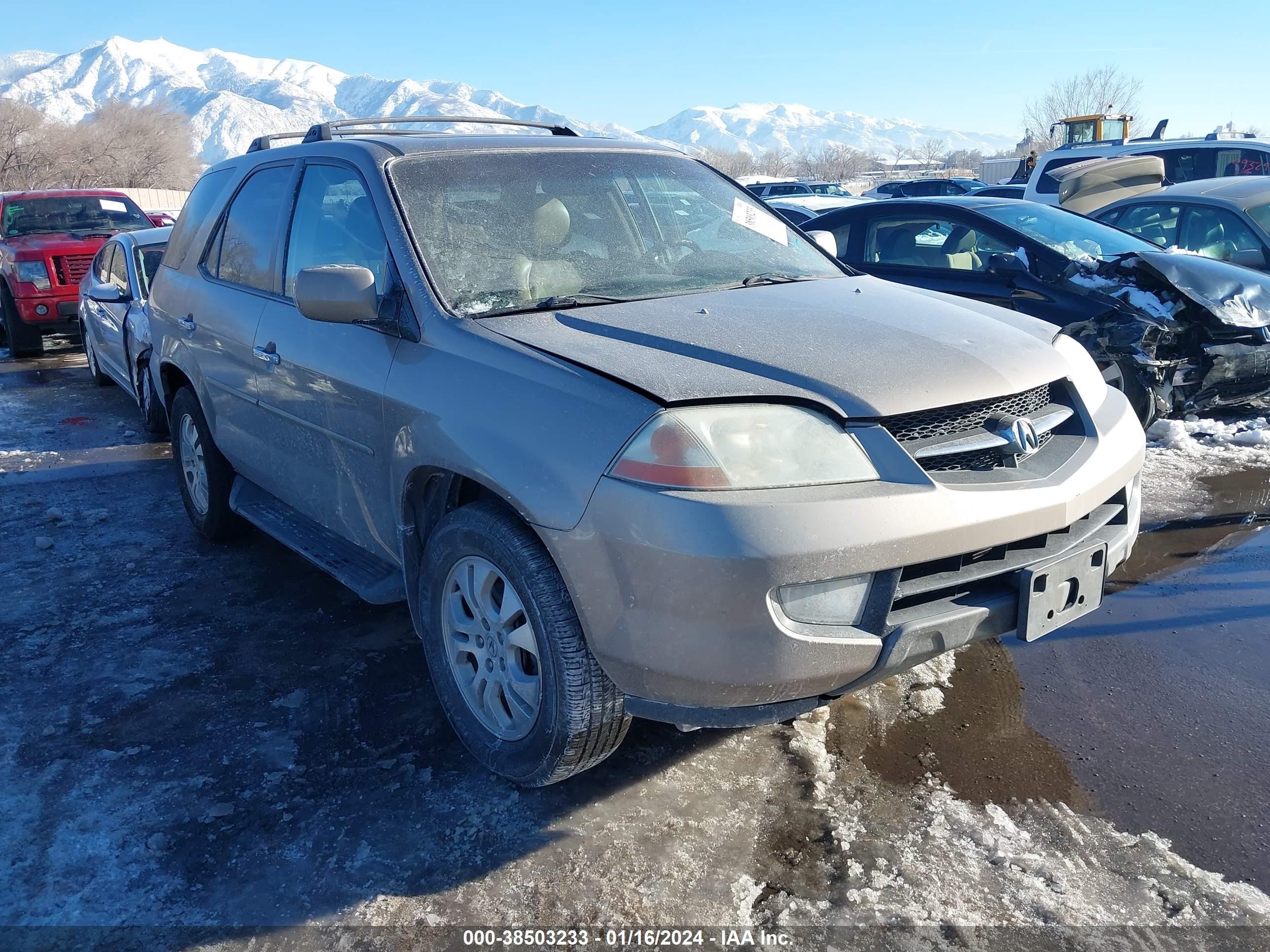 ACURA MDX 2003 2hnyd18693h514221