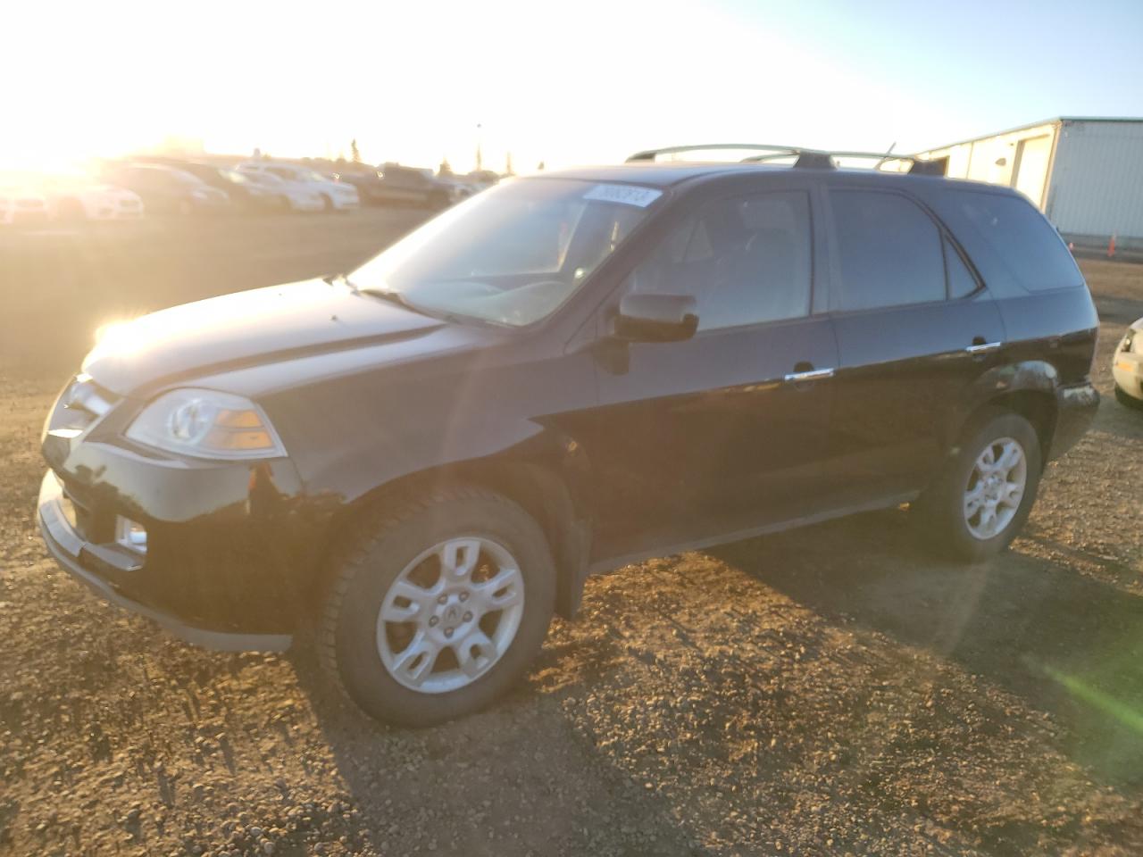 ACURA MDX 2004 2hnyd18694h557667