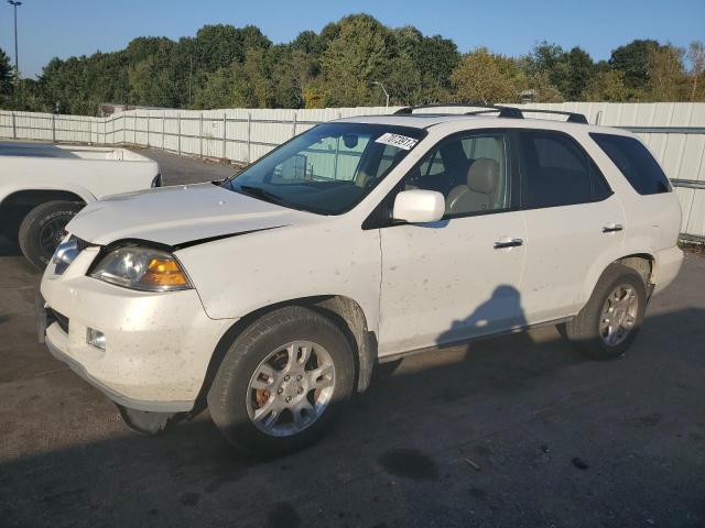 ACURA MDX 2006 2hnyd18696h502834