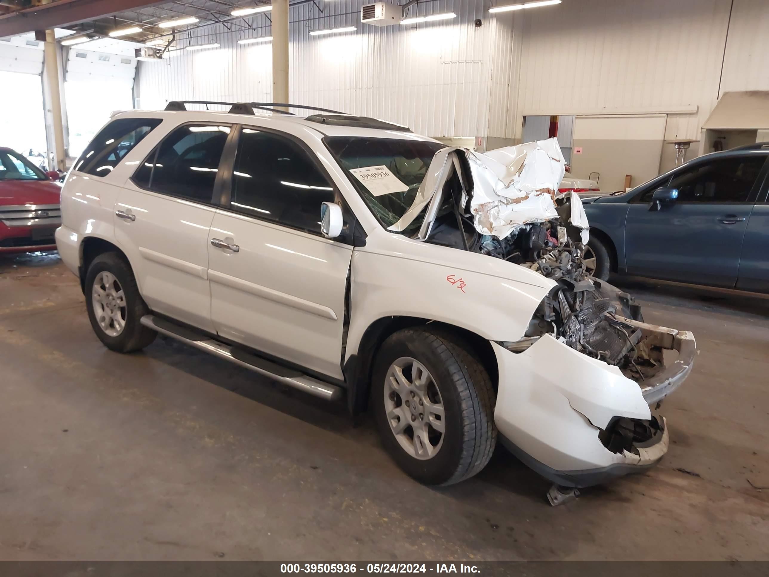 ACURA MDX 2006 2hnyd18806h513450