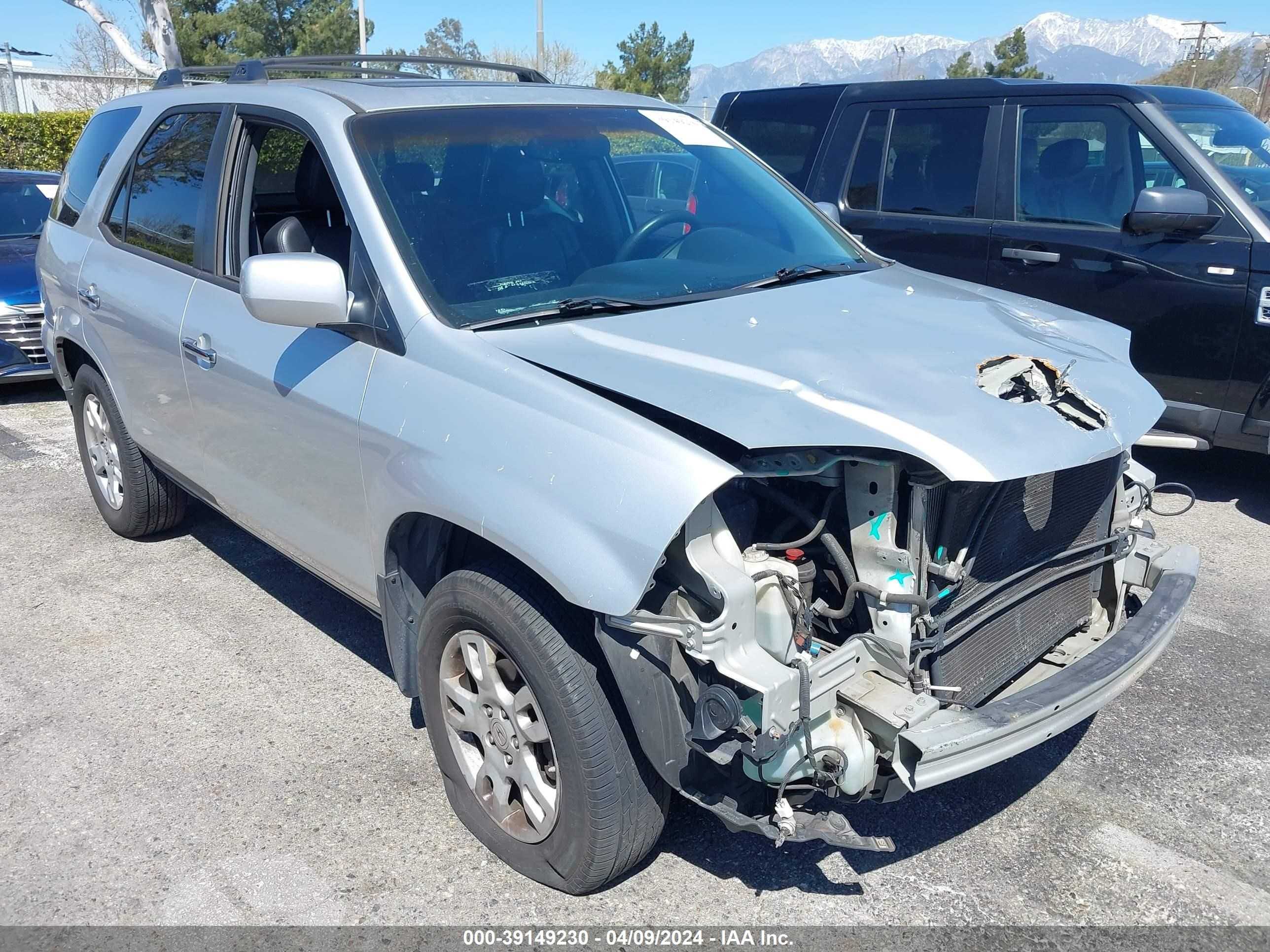 ACURA MDX 2006 2hnyd18856h545634