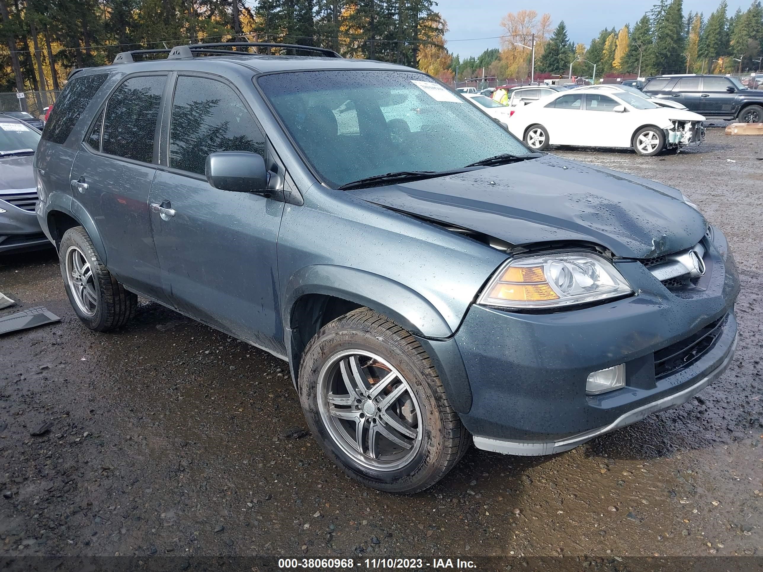 ACURA MDX 2004 2hnyd18894h550817