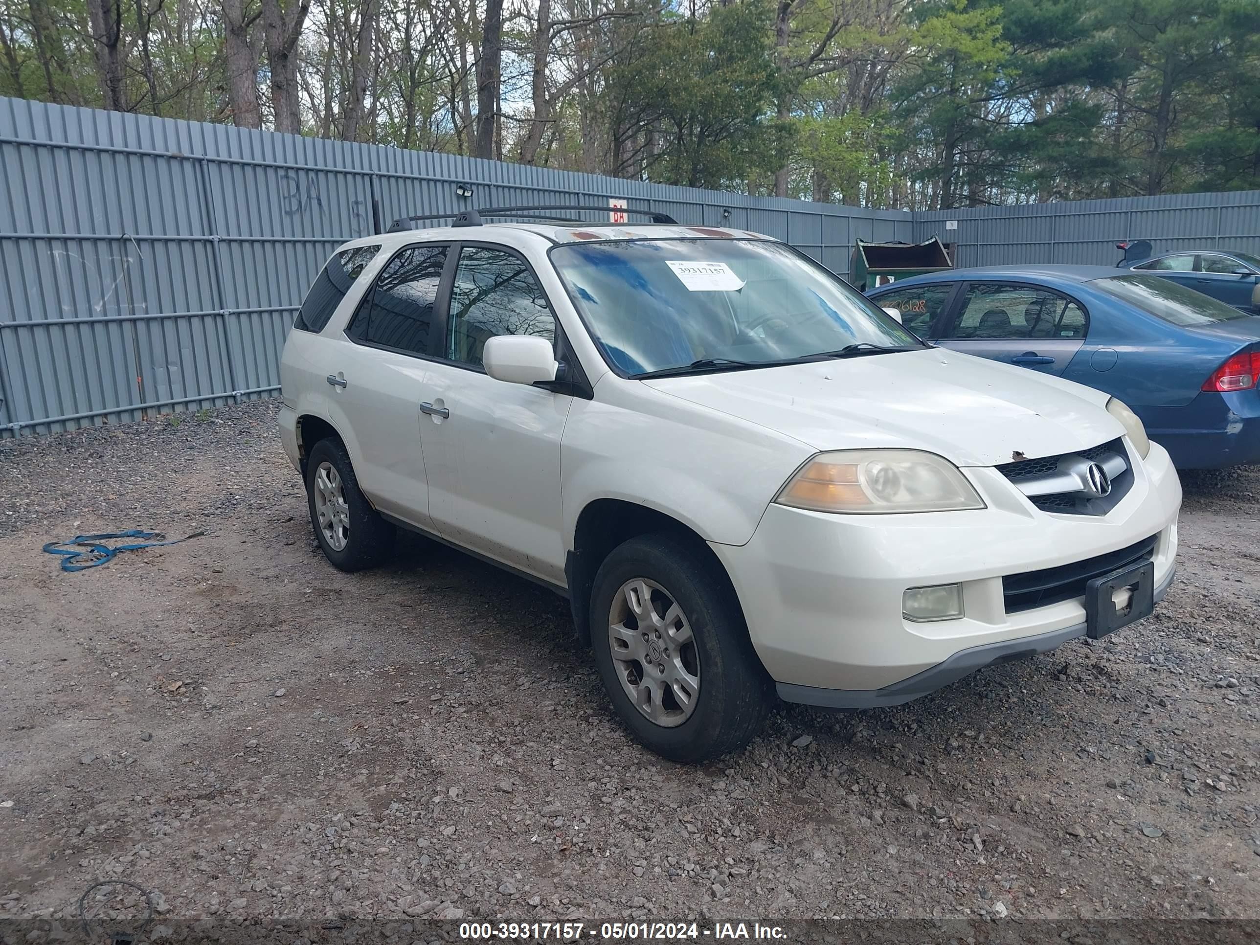 ACURA MDX 2006 2hnyd18906h538874