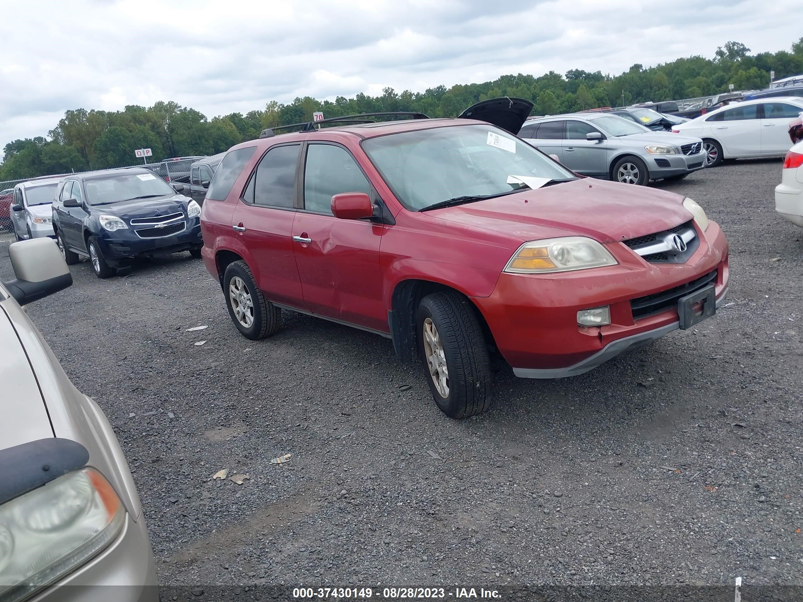 ACURA MDX 2006 2hnyd18916h505852