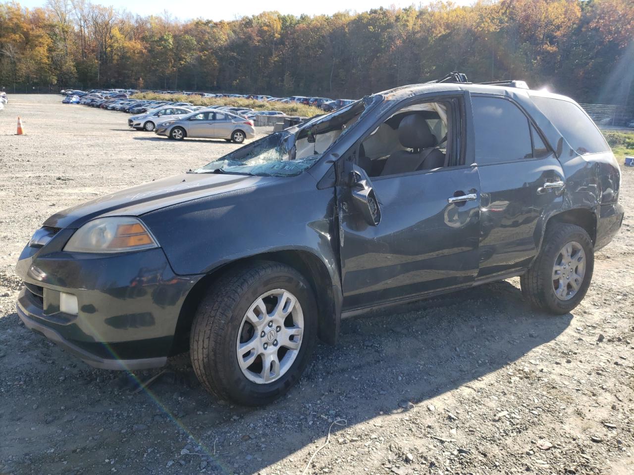 ACURA MDX 2004 2hnyd18954h547289