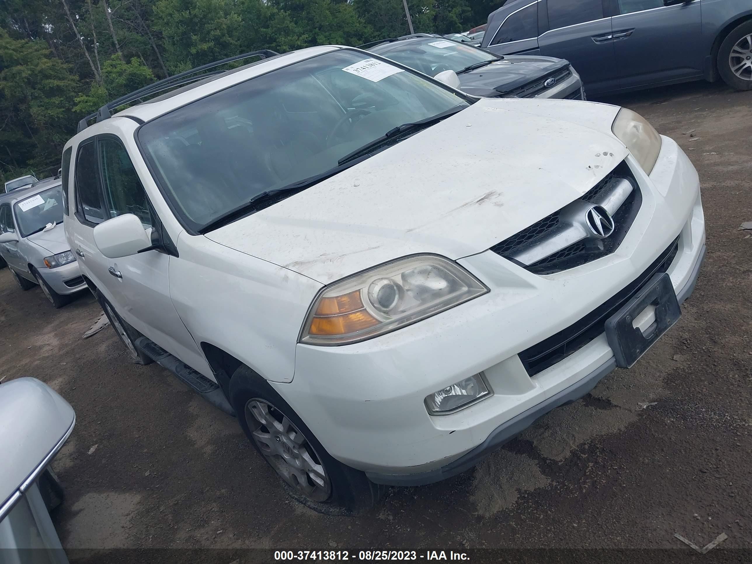 ACURA MDX 2004 2hnyd18964h538312