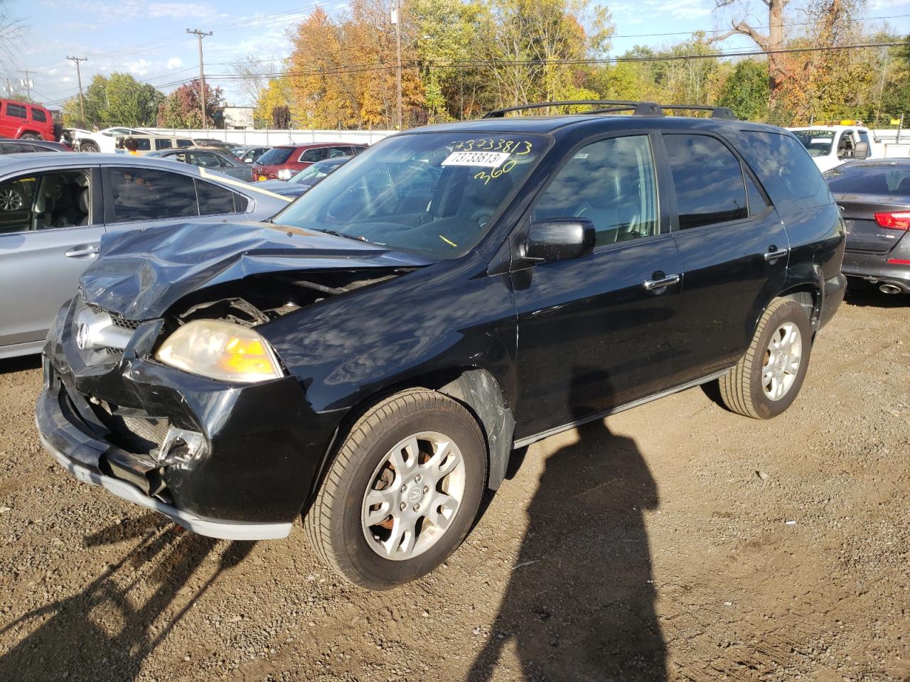 ACURA MDX 2006 2hnyd189x6h531155