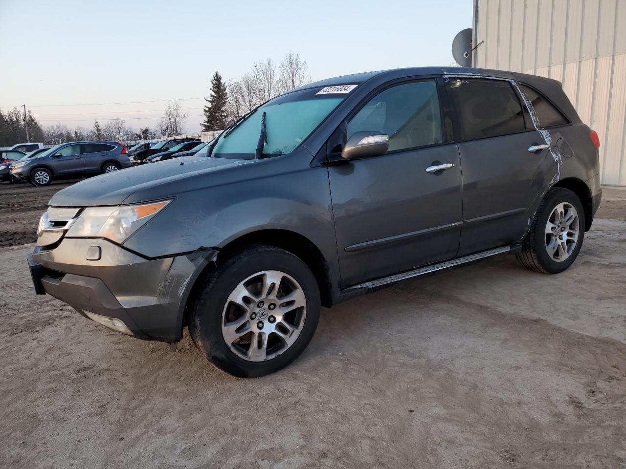 ACURA MDX 2007 2hnyd28287h004385