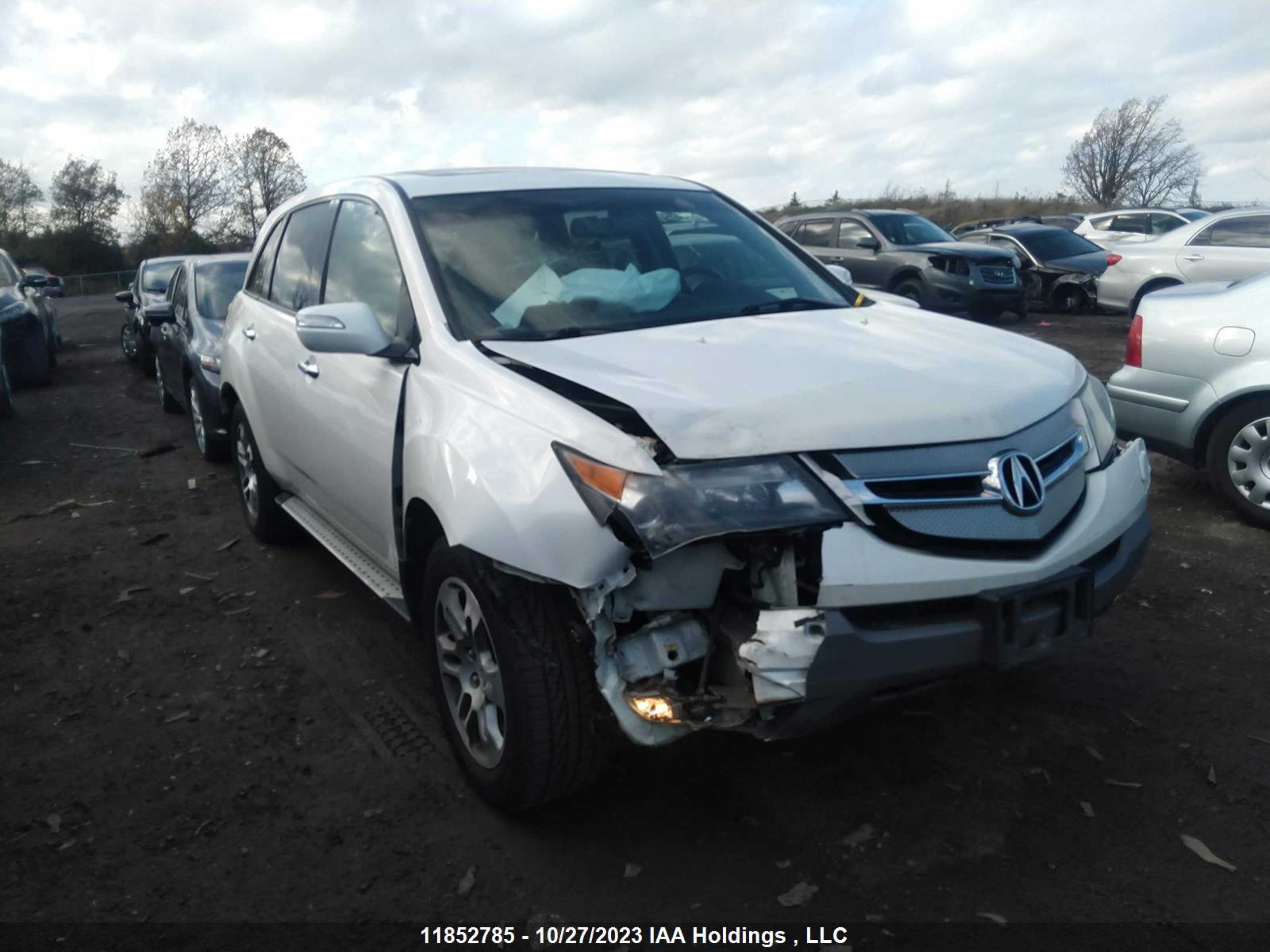 ACURA MDX 2009 2hnyd28629h006736