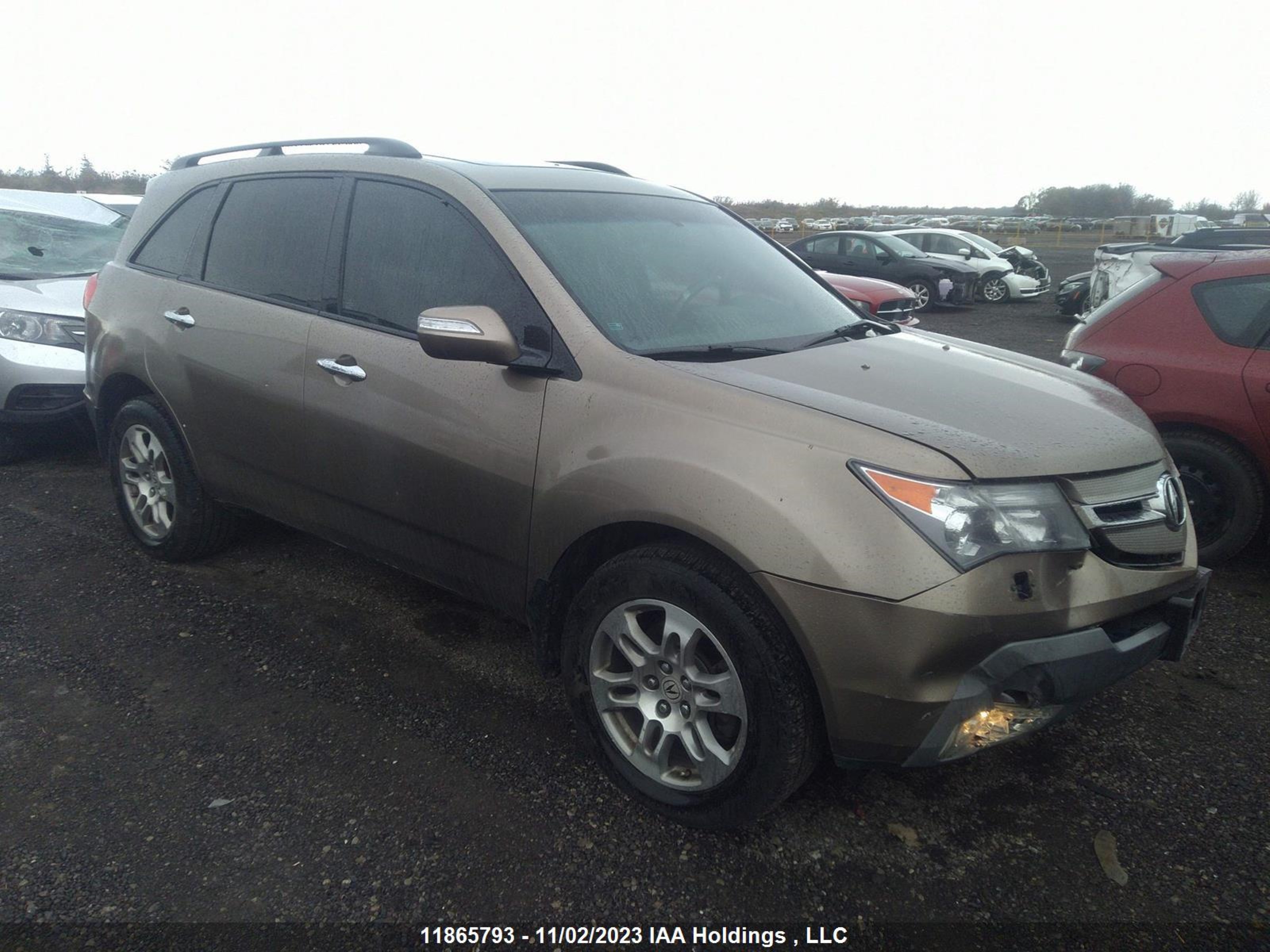 ACURA MDX 2009 2hnyd286x9h000957