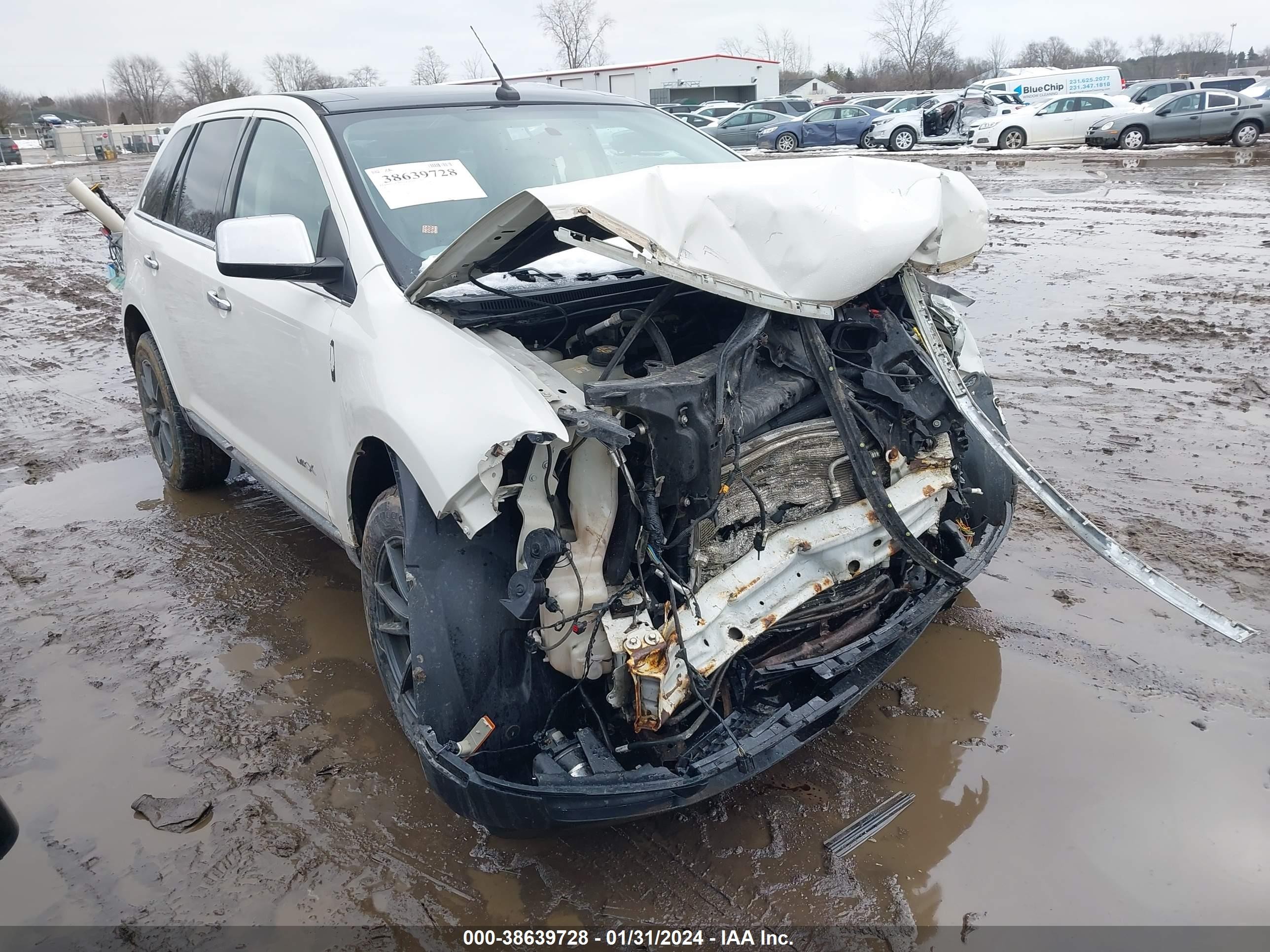 LINCOLN MKX 2009 2lmdu88c19bj07881