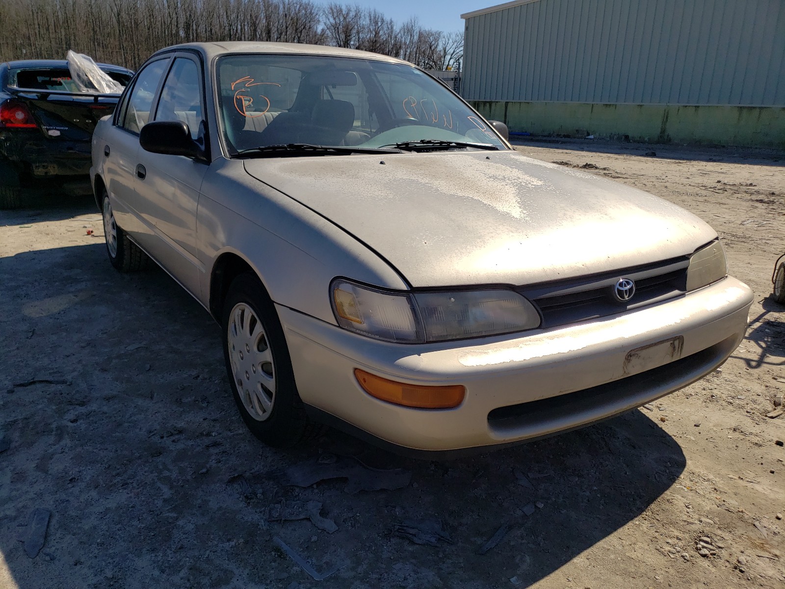 TOYOTA COROLLA 1995 2t1ae04b5sc081958