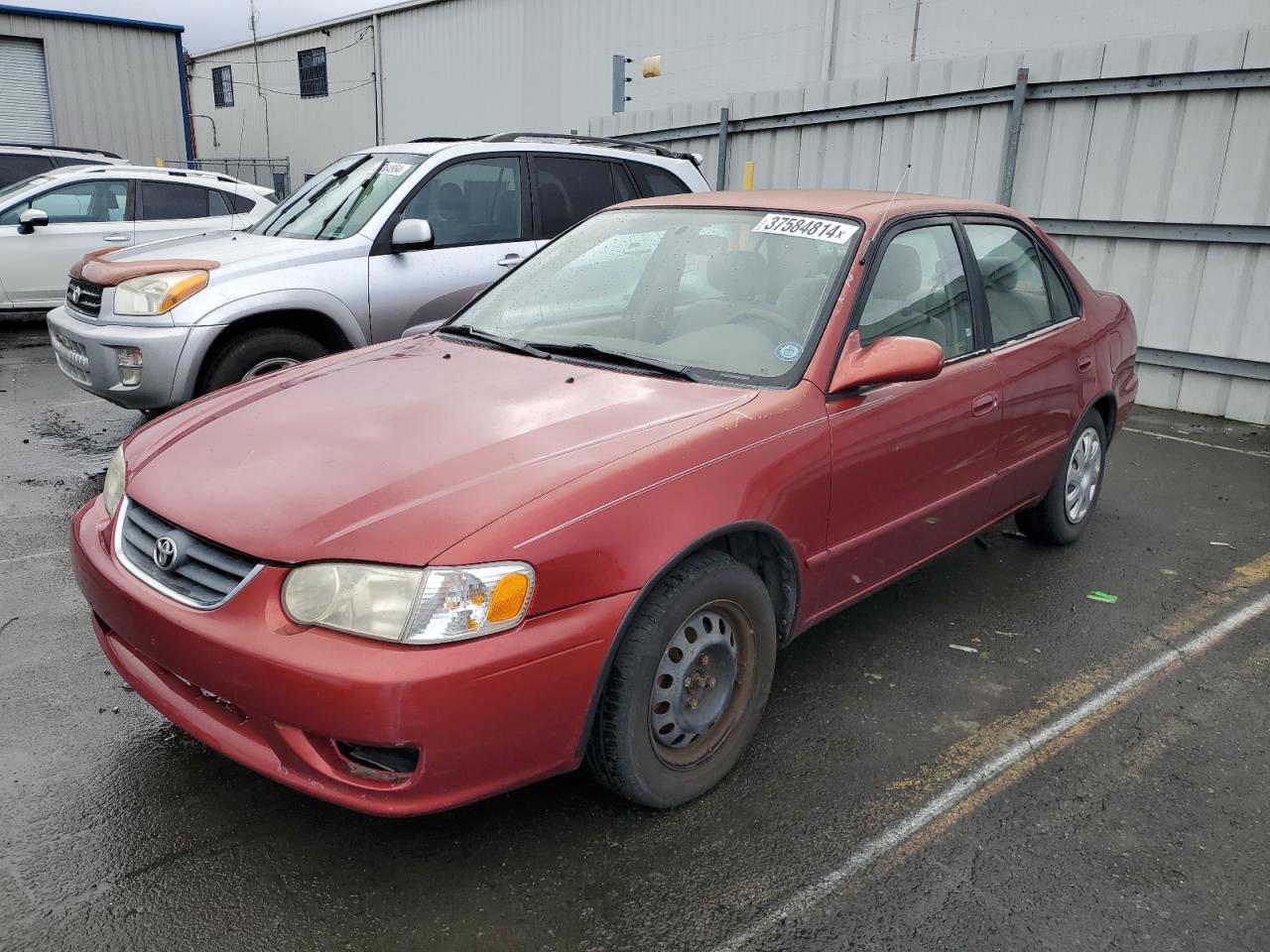 TOYOTA COROLLA 2001 2t1br12e01c417297