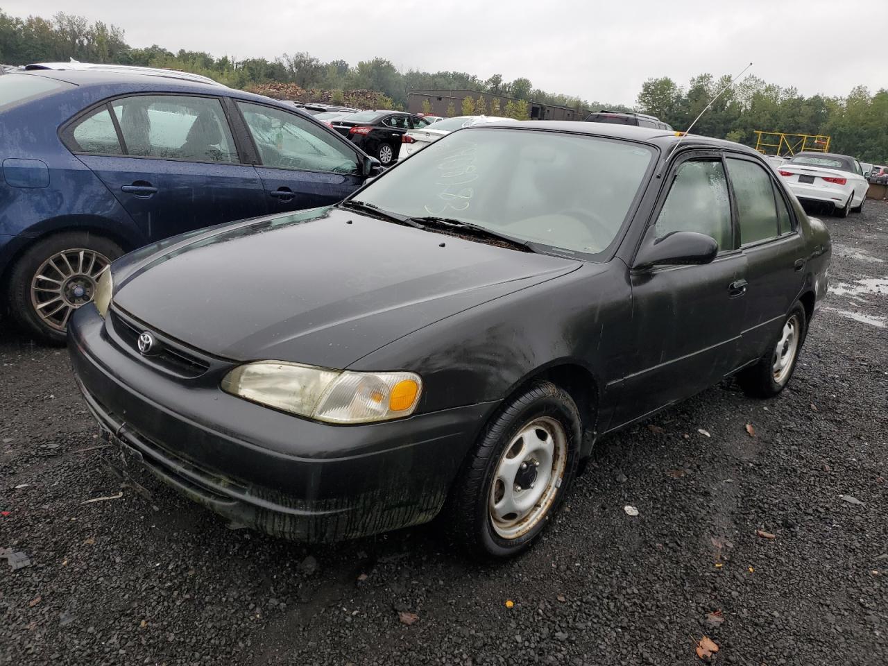 TOYOTA COROLLA 1998 2t1br12e4wc050802