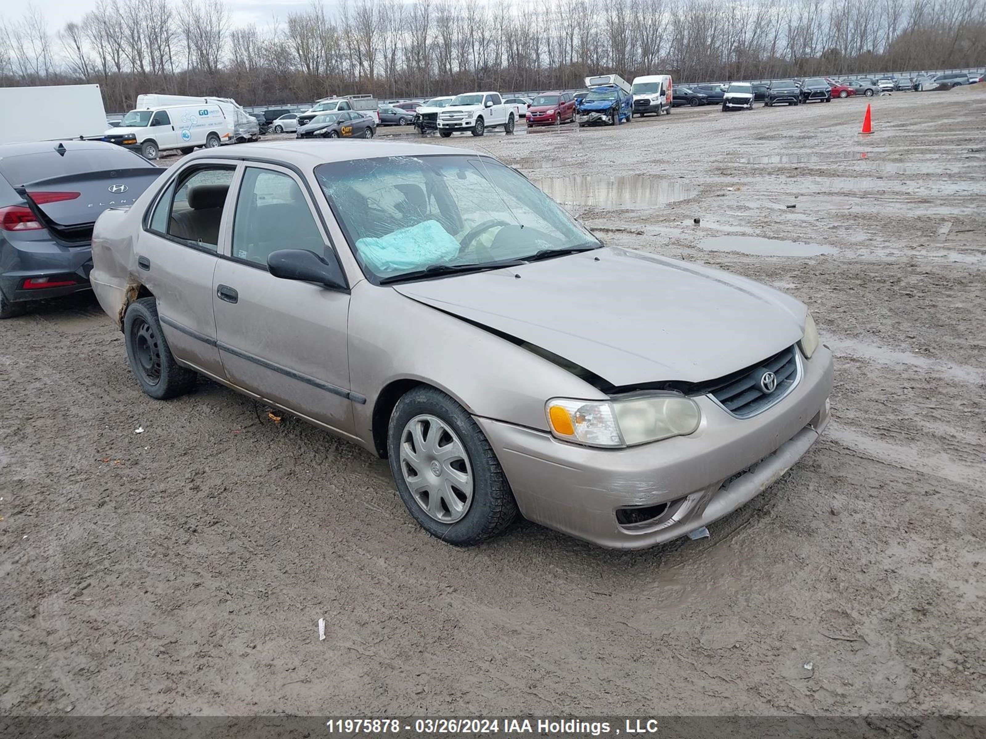 TOYOTA COROLLA 2001 2t1br12e81c838474