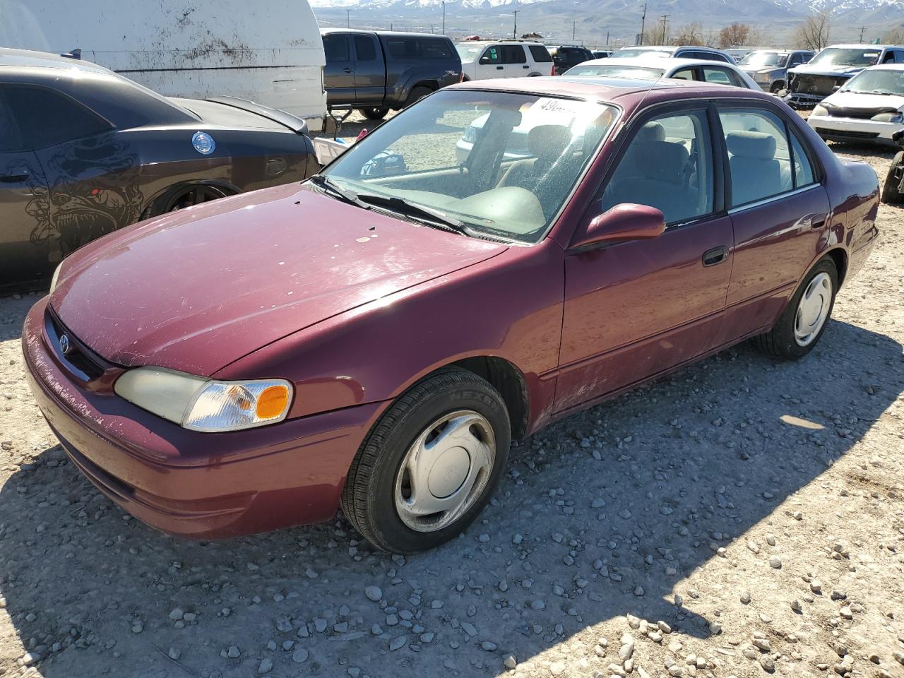 TOYOTA COROLLA 1998 2t1br18e0wc079706